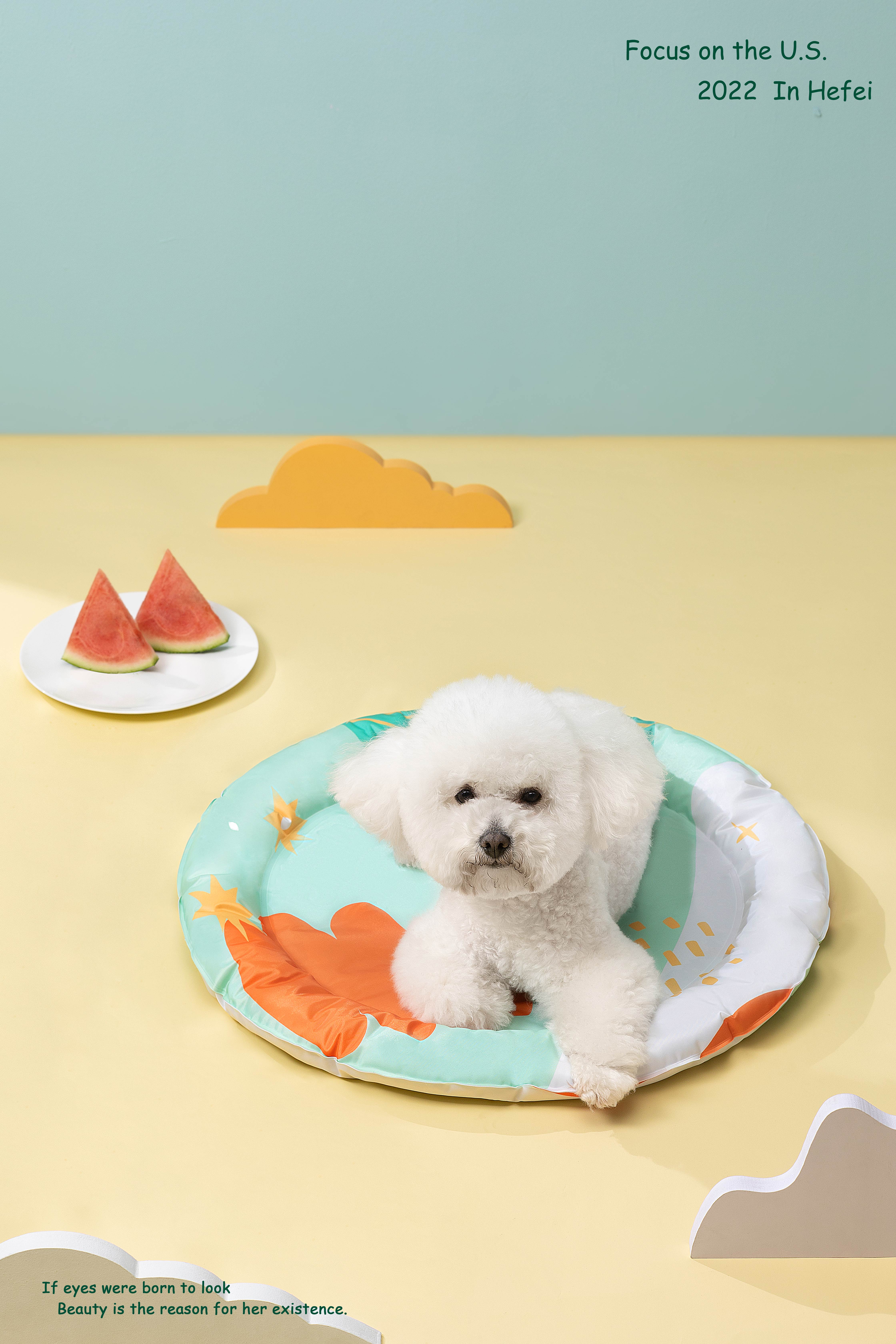 Pet ice mat，Ice pad，Cool ice mat，
