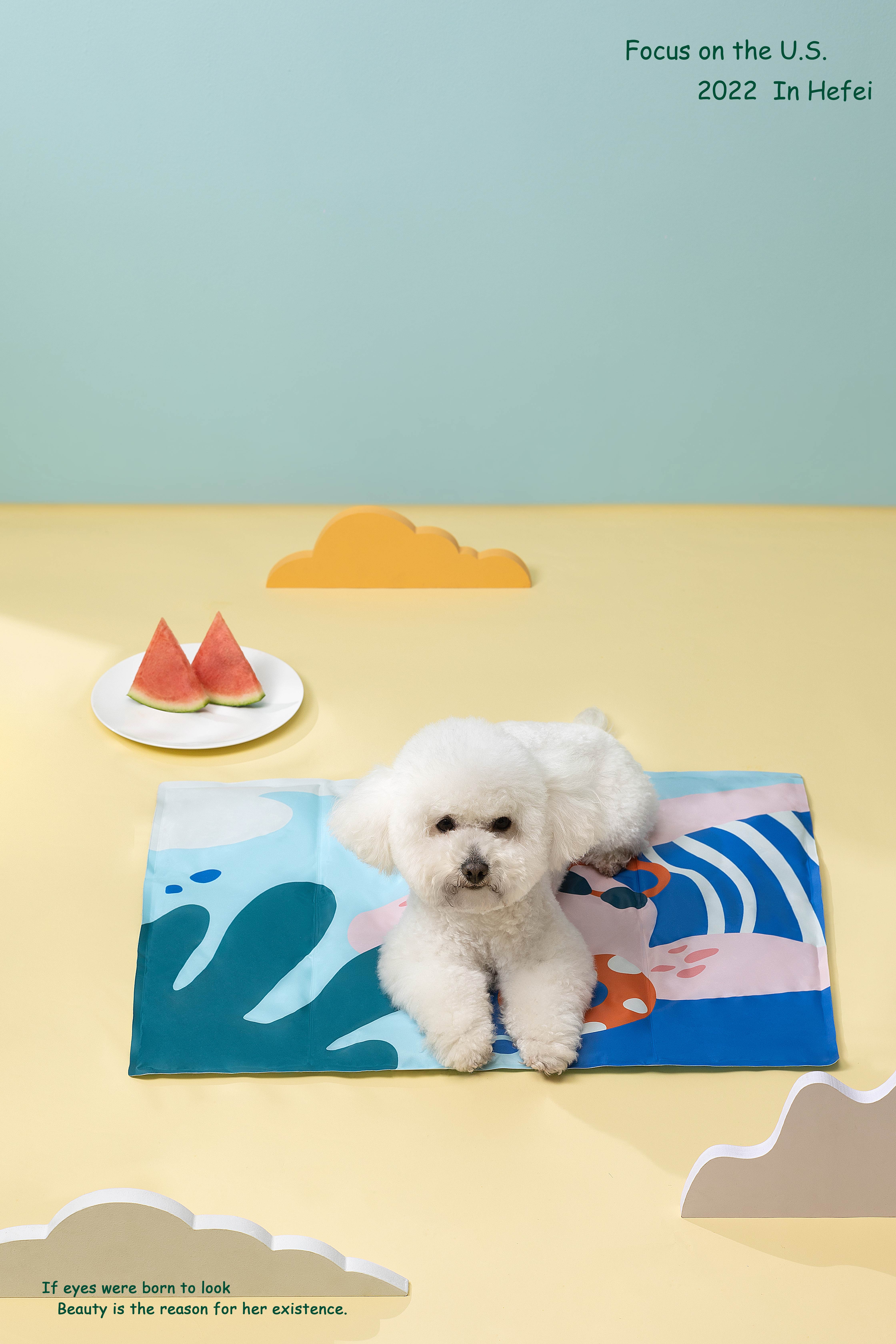 Pet ice mat，Ice pad，Cool ice mat，