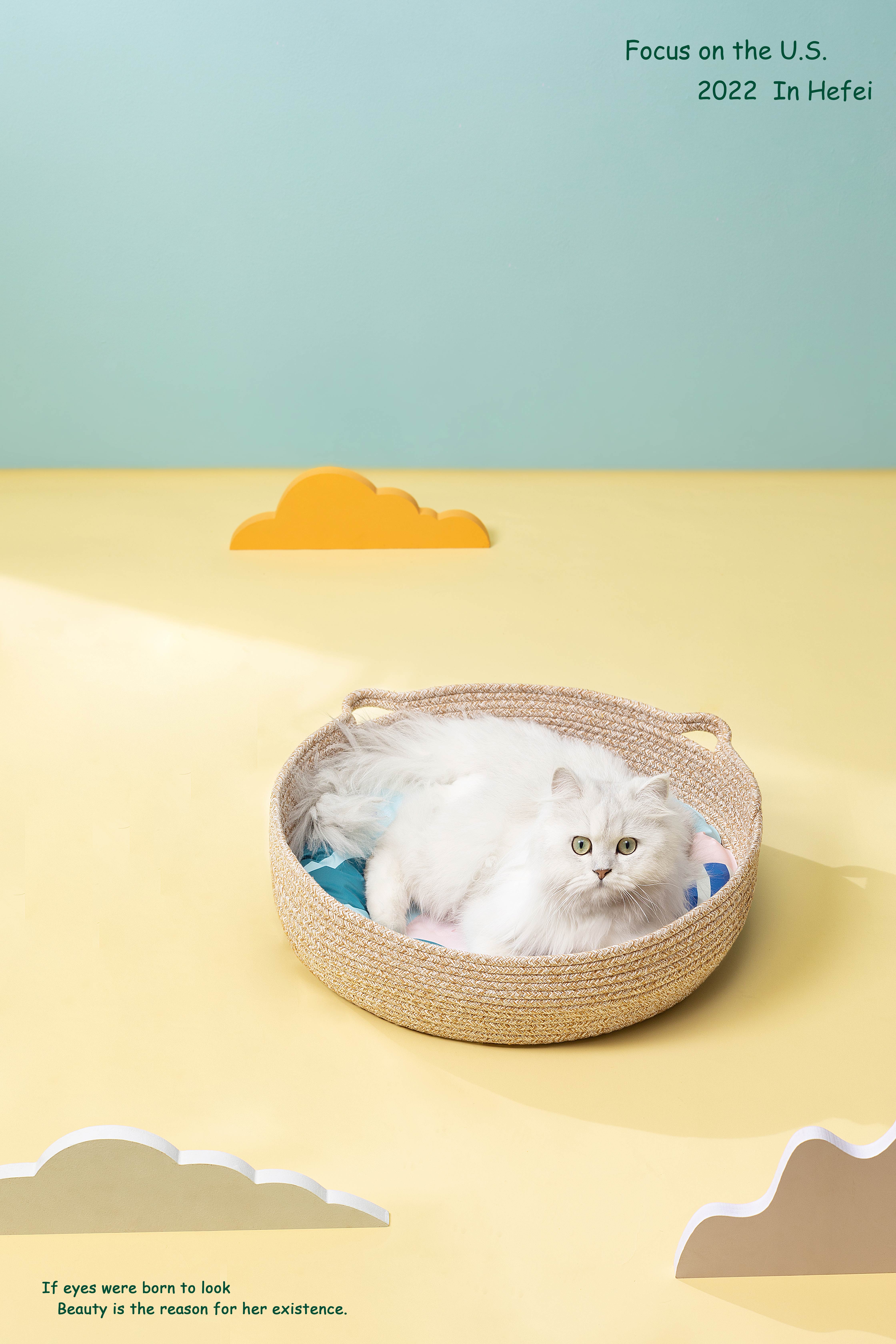 Pet ice mat，Ice pad，Cool ice mat，