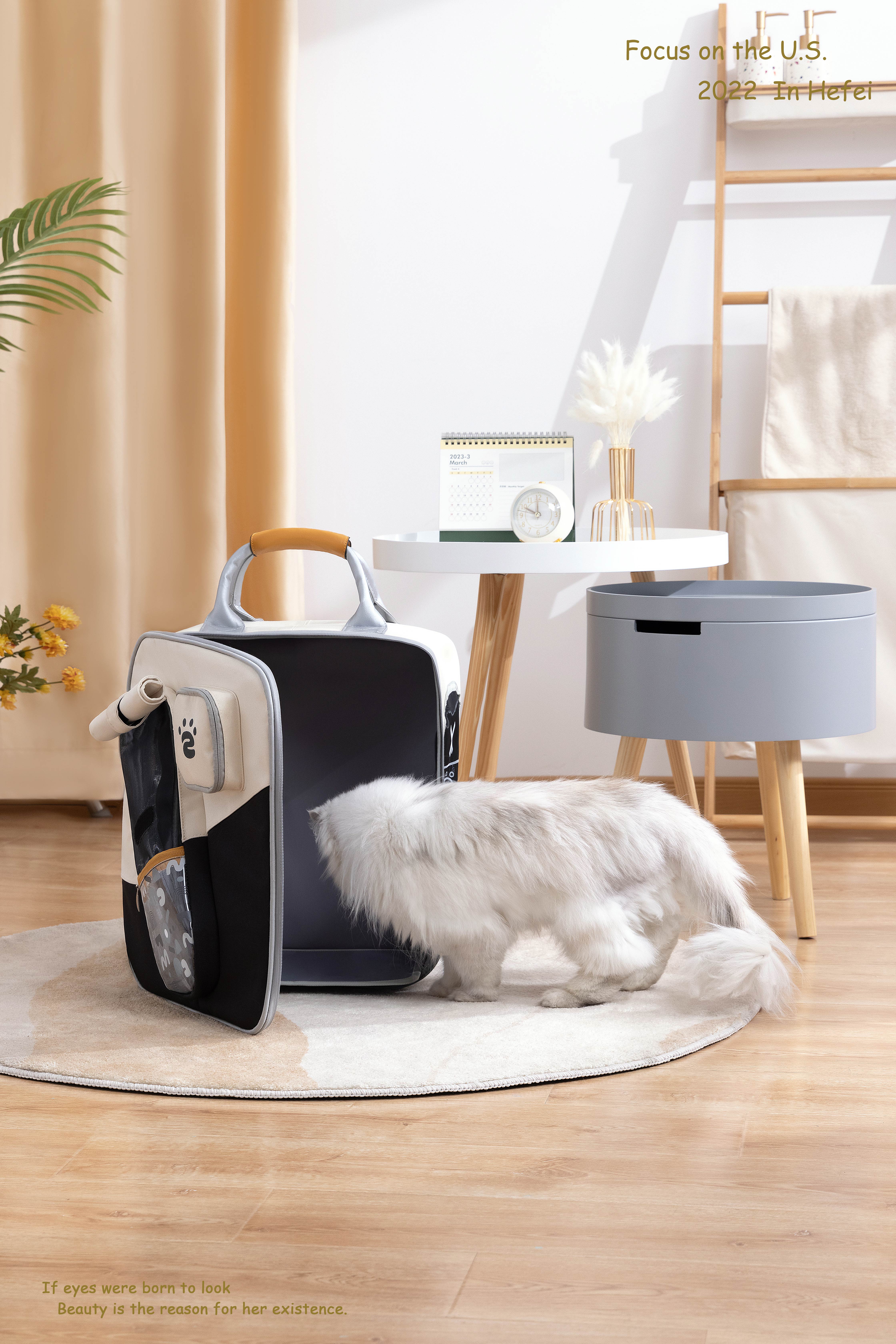 Cat bag，Tongmeng Club Cat Bag，