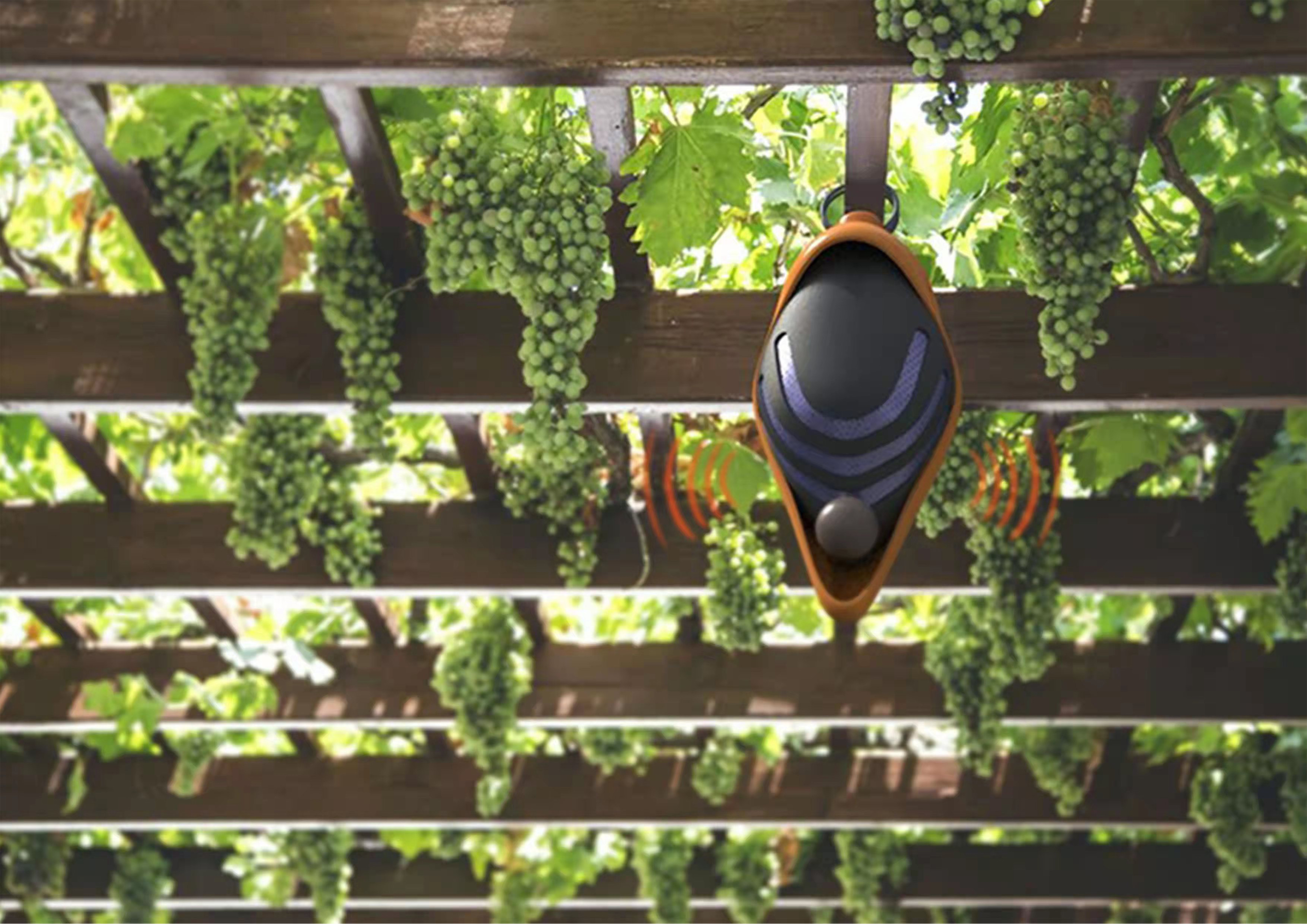 Design of Intelligent Bird Repellent Based on Intelligent Agriculture，rural vitalization，sustainable development，Agriculture，Orchard management，HILL，