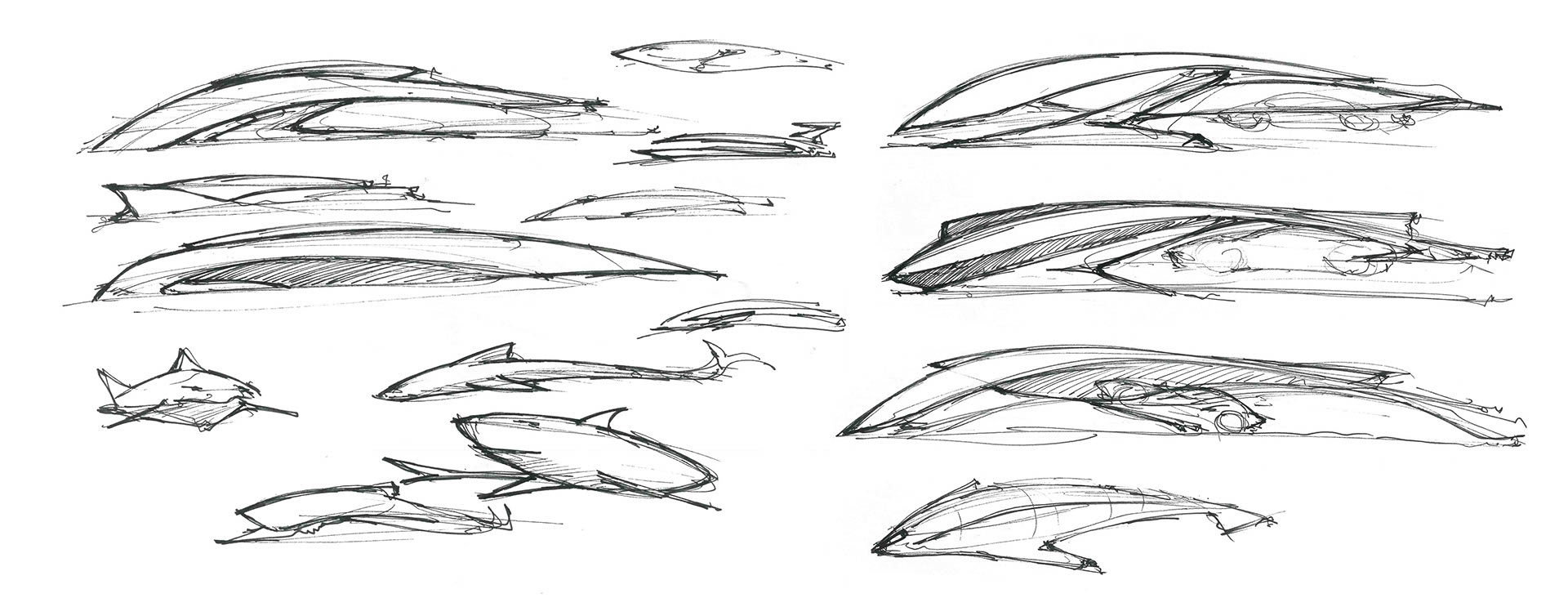 yacht，a ship，Hand drawn，step，Render，alfa romeo ，Alpha Romeo，Shark，