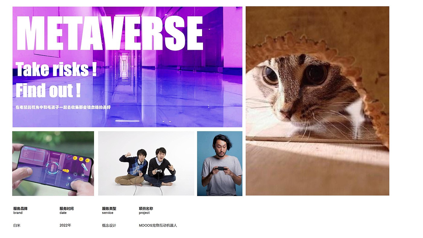 game，interaction，Metaverse，mouse，Toys，Pet company，Pet Supplies & Pet，