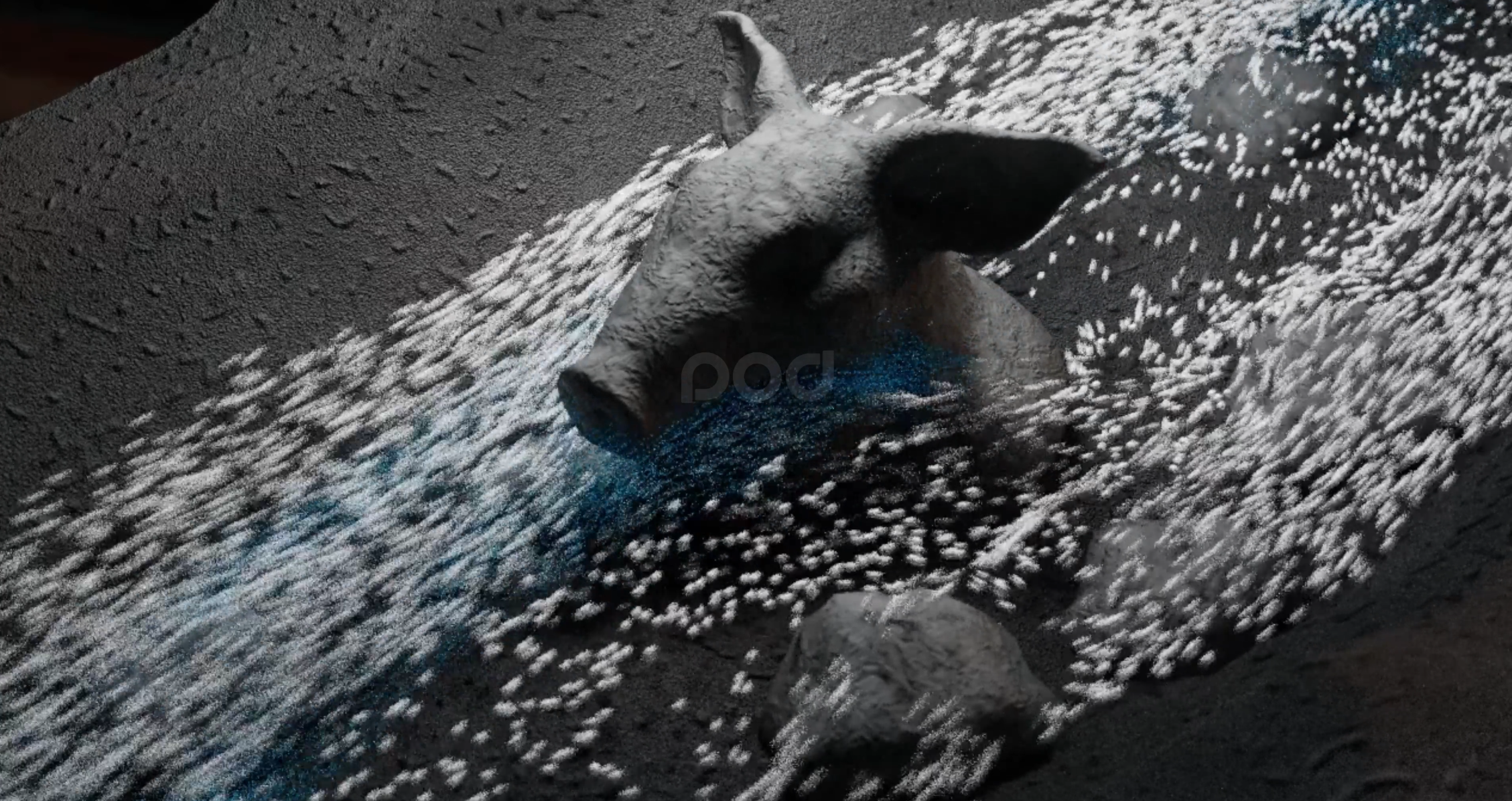 c4d，BLENDER，animation，modeling，Special effects，