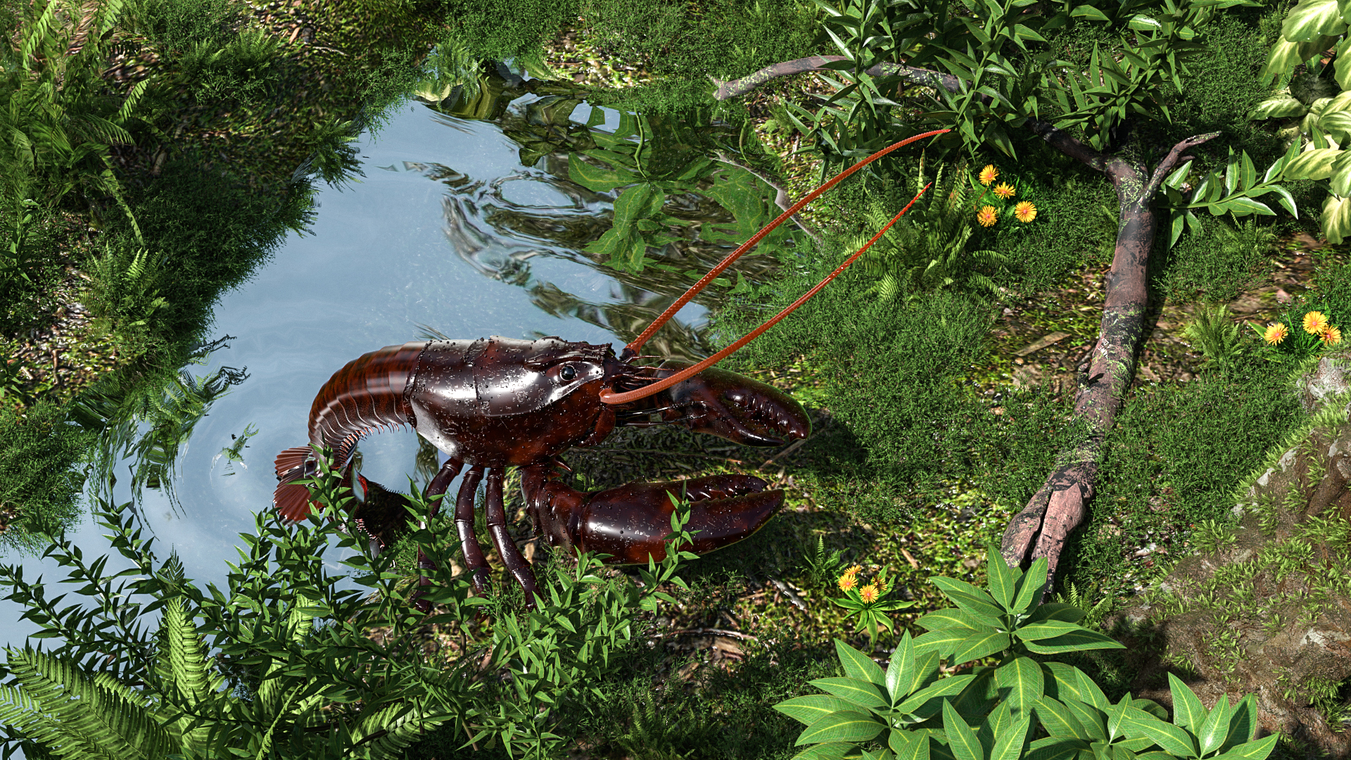 Modeling and rendering，c4d，