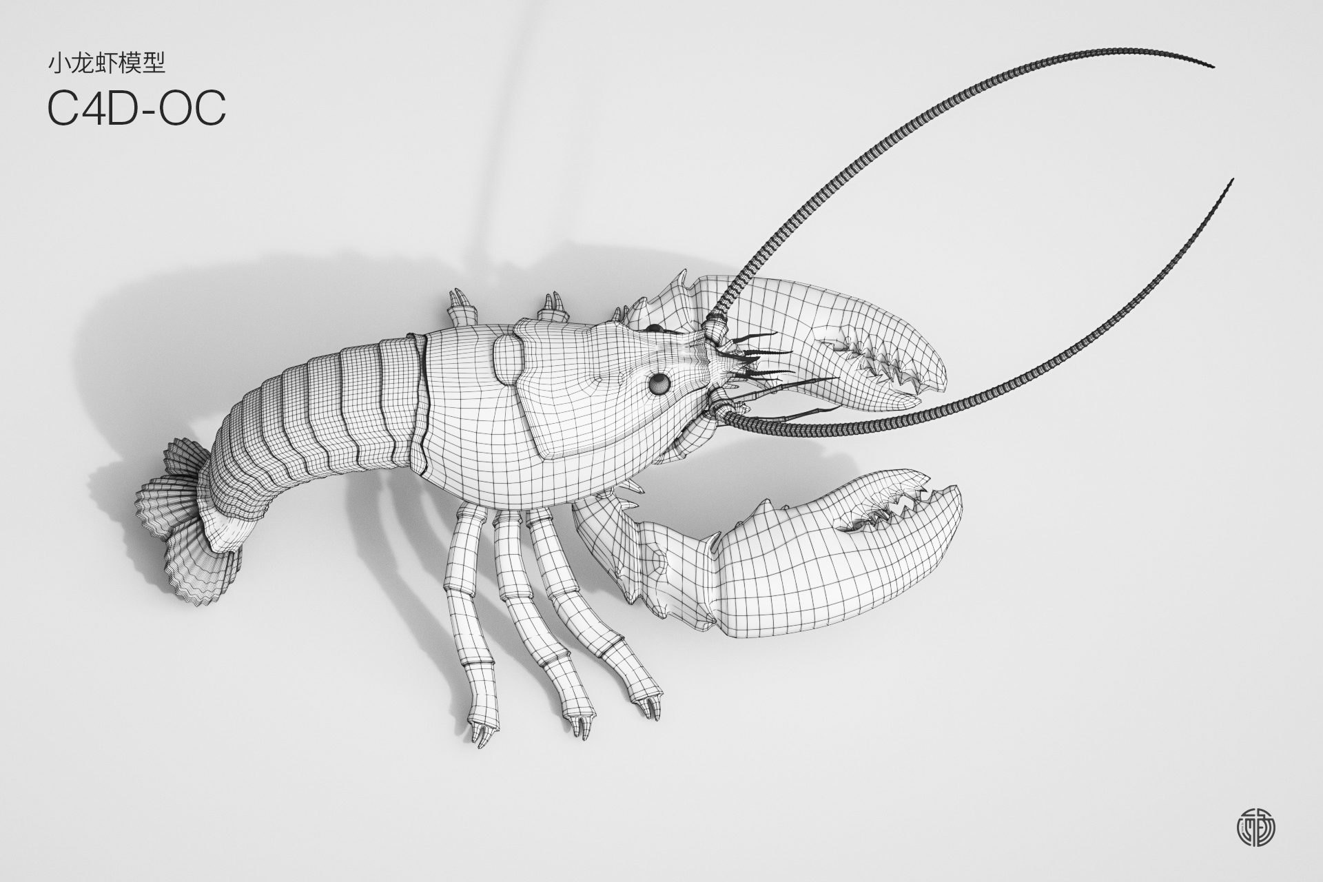 Modeling and rendering，c4d，