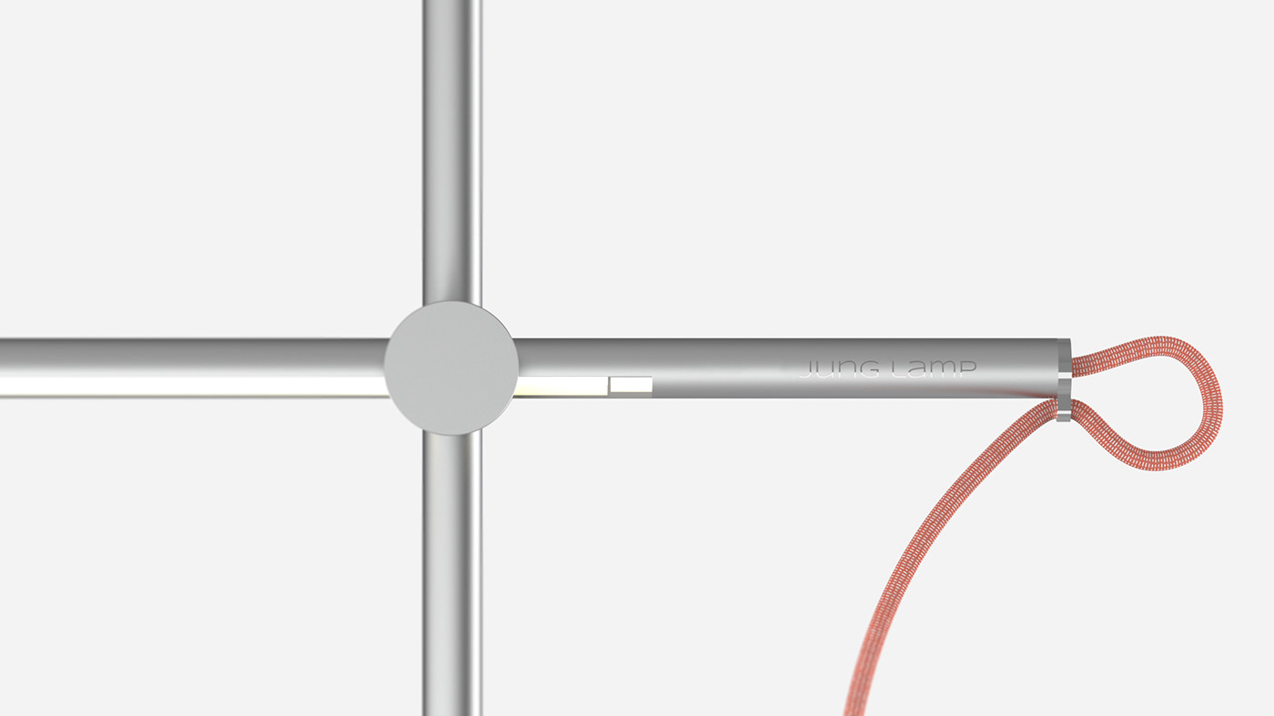 lighting，lamps and lanterns，Botany，