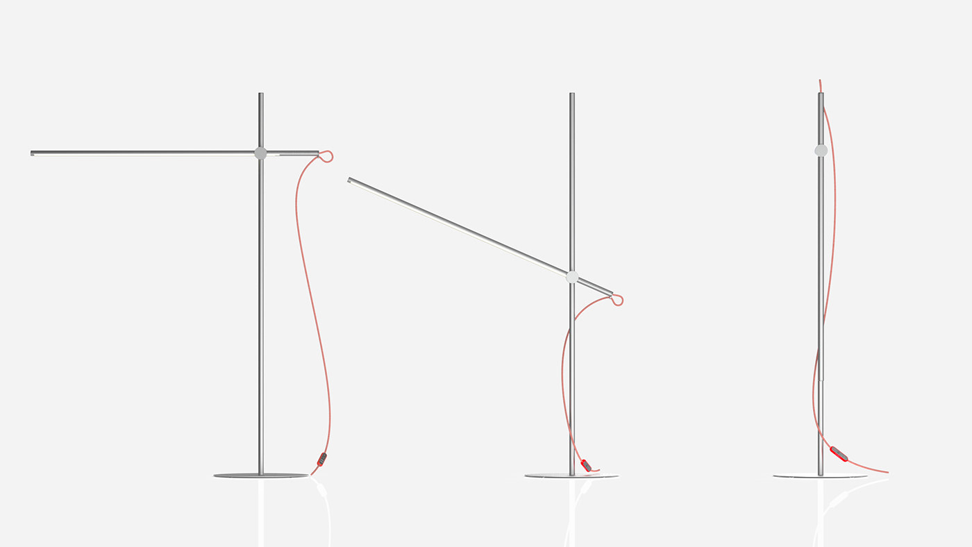 lighting，lamps and lanterns，Botany，