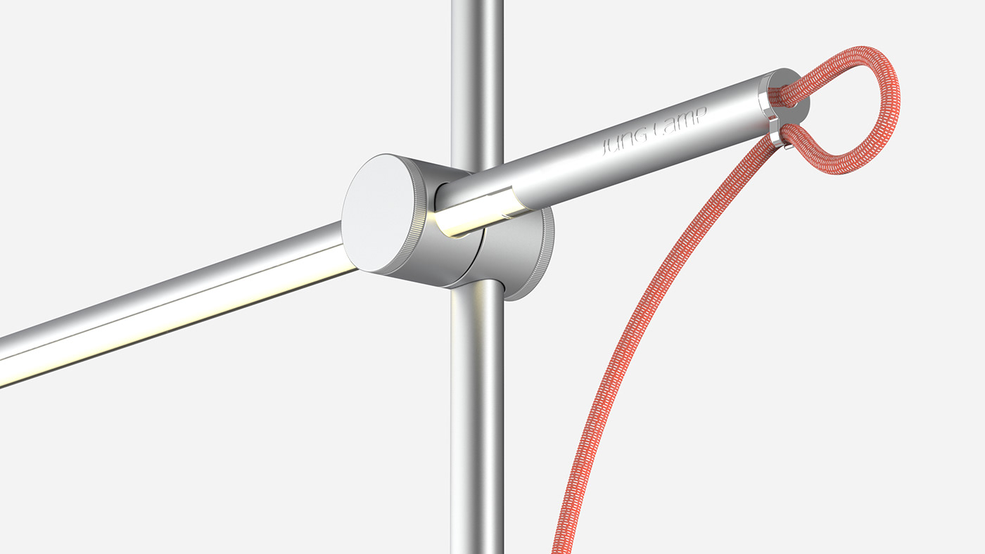 lighting，lamps and lanterns，Botany，