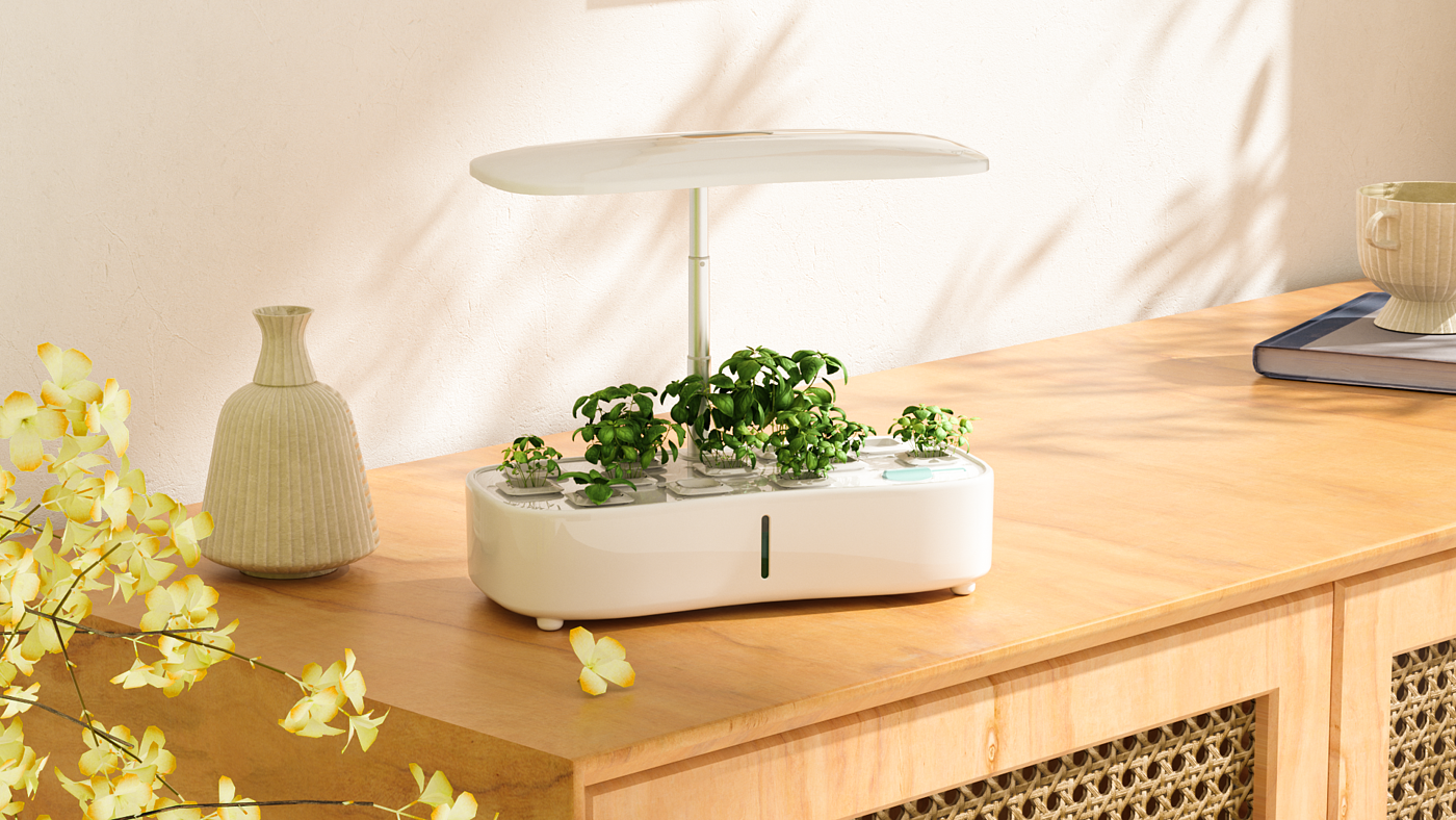 Flowerpot，Soilless culture，Flowerpot，Plant lamp，Soilless culture，Plant lamp，