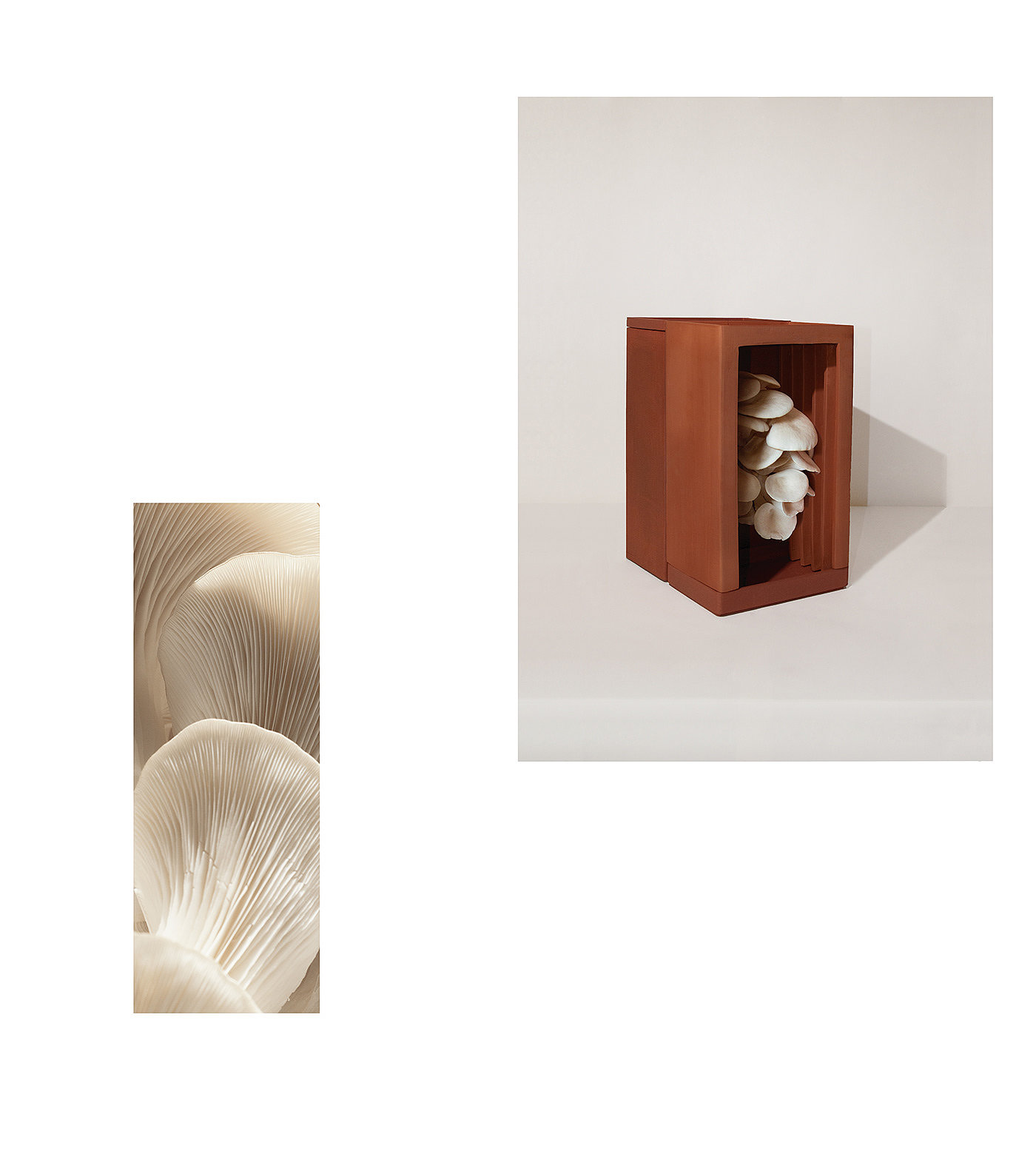 ceramics，OYSTA，fungus，plant，vase，product design，