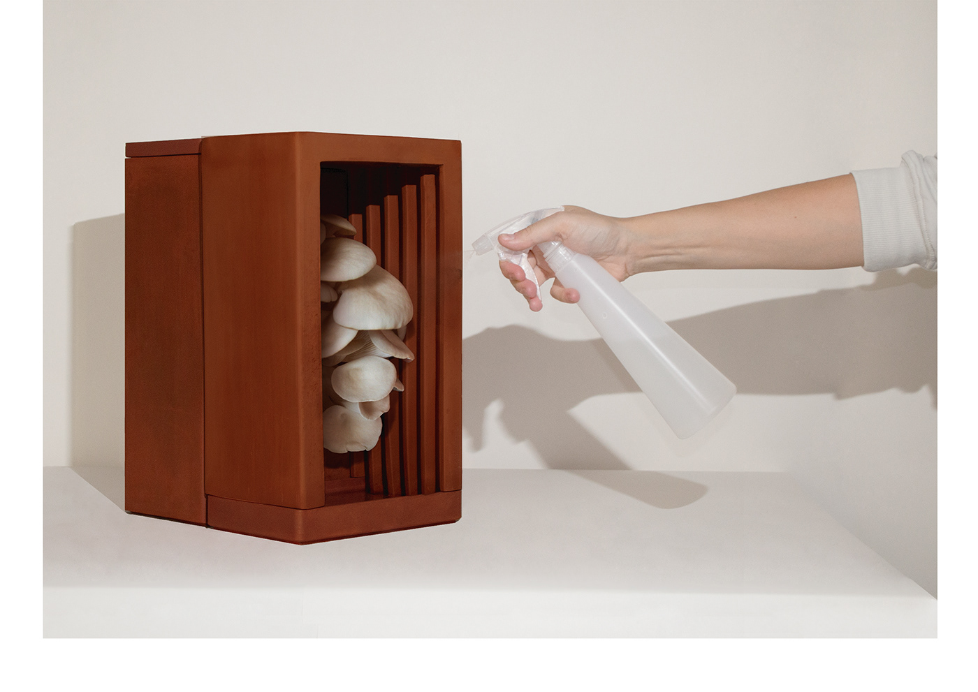 ceramics，OYSTA，fungus，plant，vase，product design，