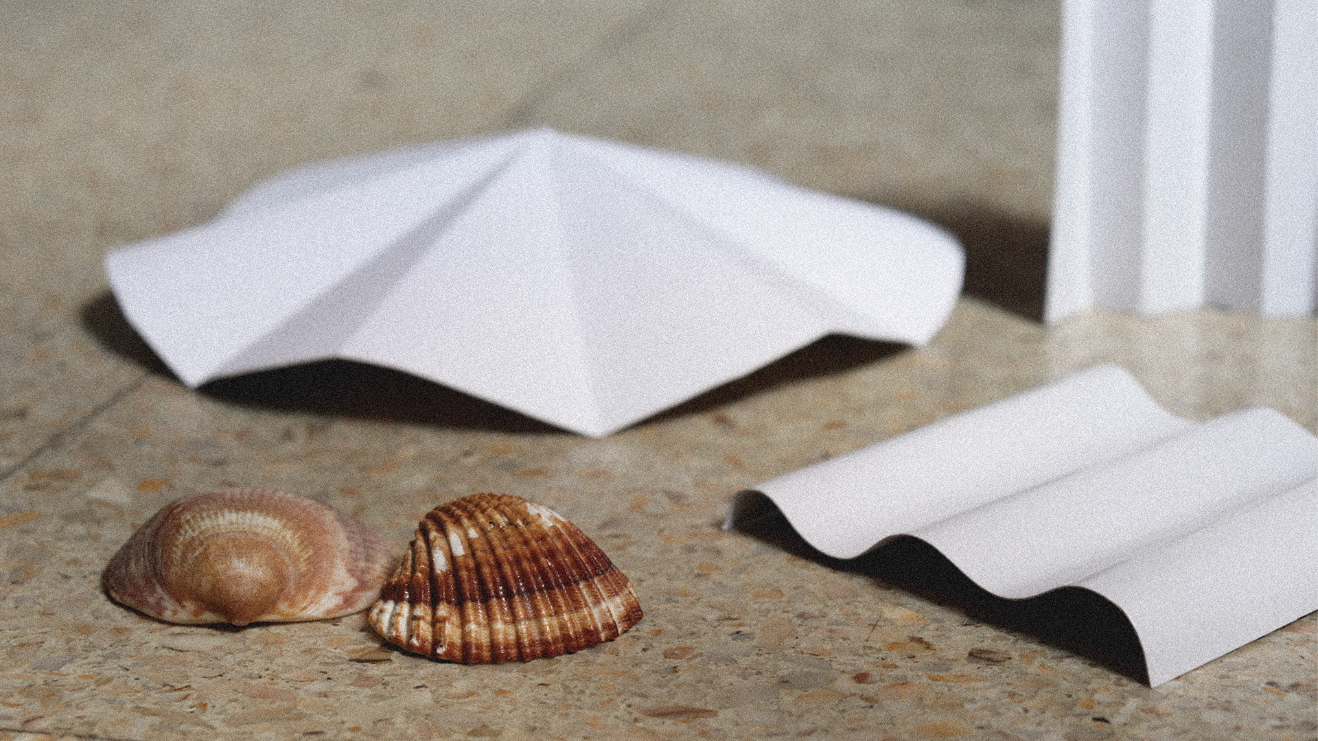 Clock，shell，concrete，keyshot，