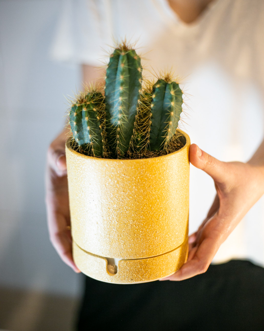 ceramics，Clay，Handmade products，Flowerpot，flower，Craft ceramics，