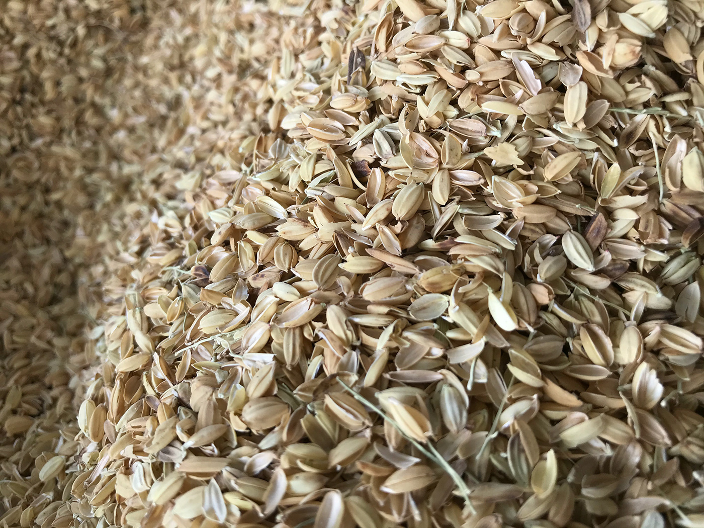 chair，furniture，originality，RICE HUSK STOOL，