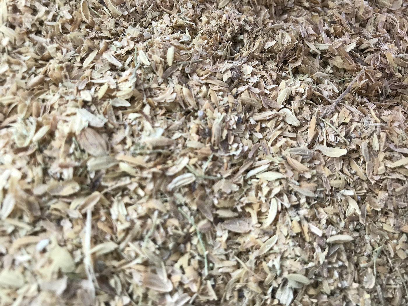 chair，furniture，originality，RICE HUSK STOOL，