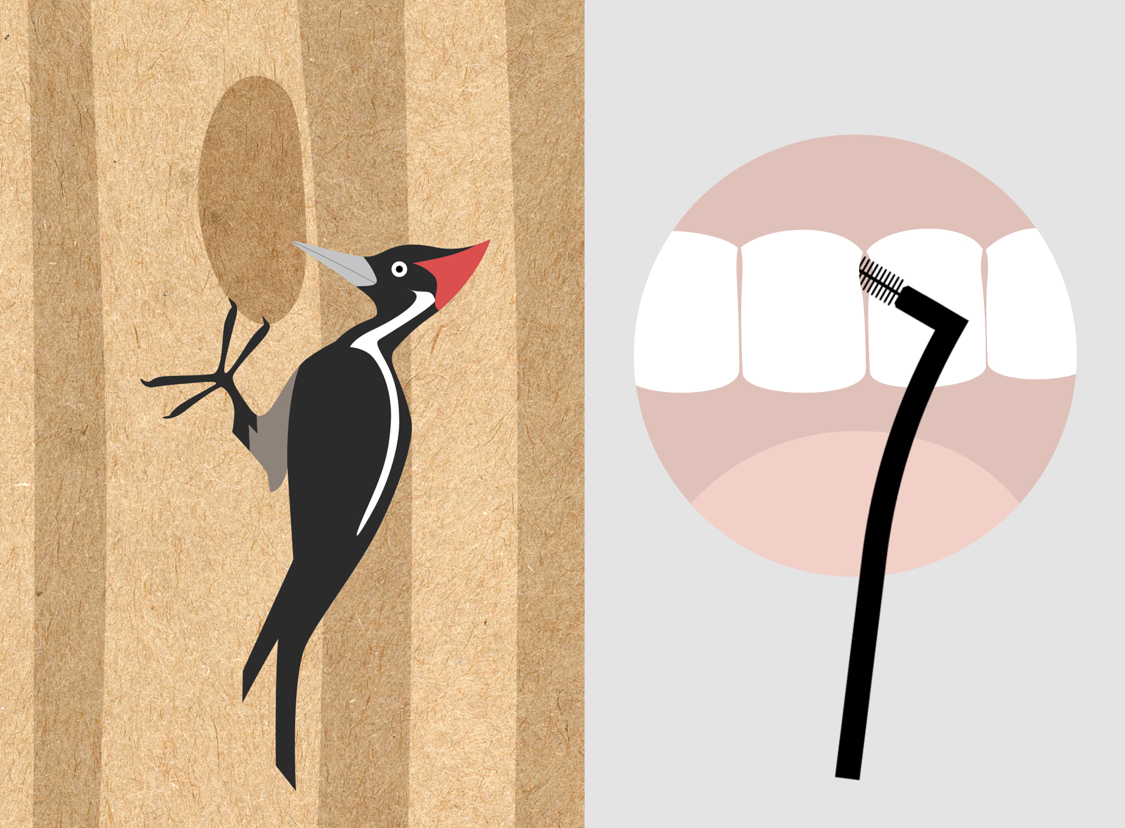 Healthy teeth protect gingival，Healthy teeth protect gingival，Orthodontics，bionics，Orthodontics，bionics，Human factor engineering，Color matching，packing，Human factor engineering，Color matching，packing，