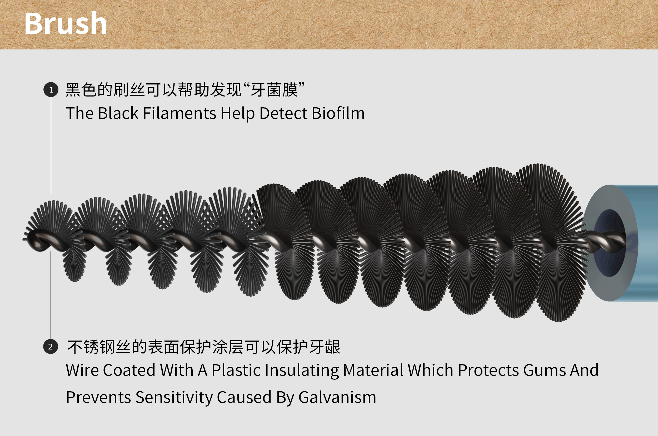 Healthy teeth protect gingival，Healthy teeth protect gingival，Orthodontics，bionics，Orthodontics，bionics，Human factor engineering，Color matching，packing，Human factor engineering，Color matching，packing，