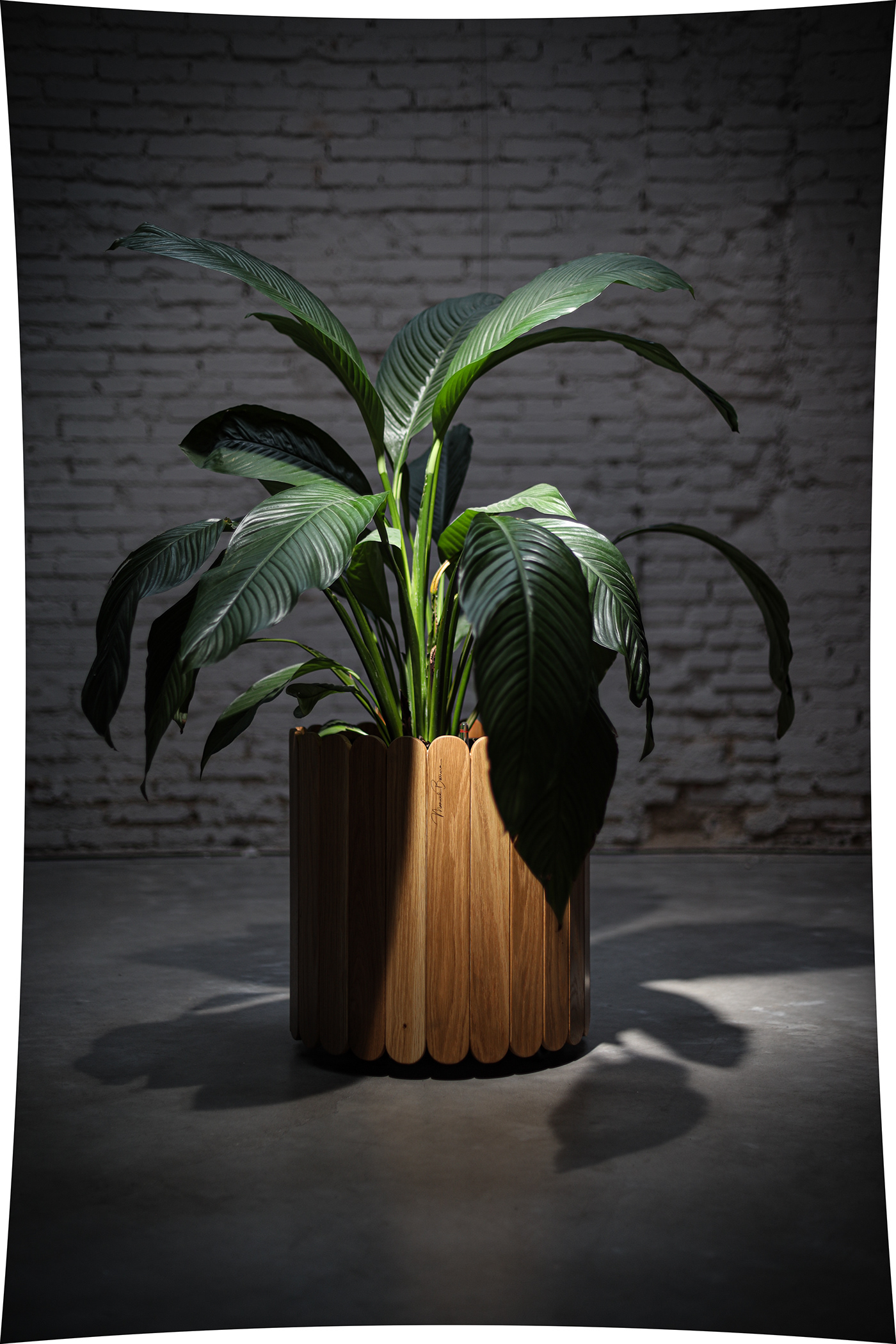 Flowerpot，wooden ，furniture，product design，