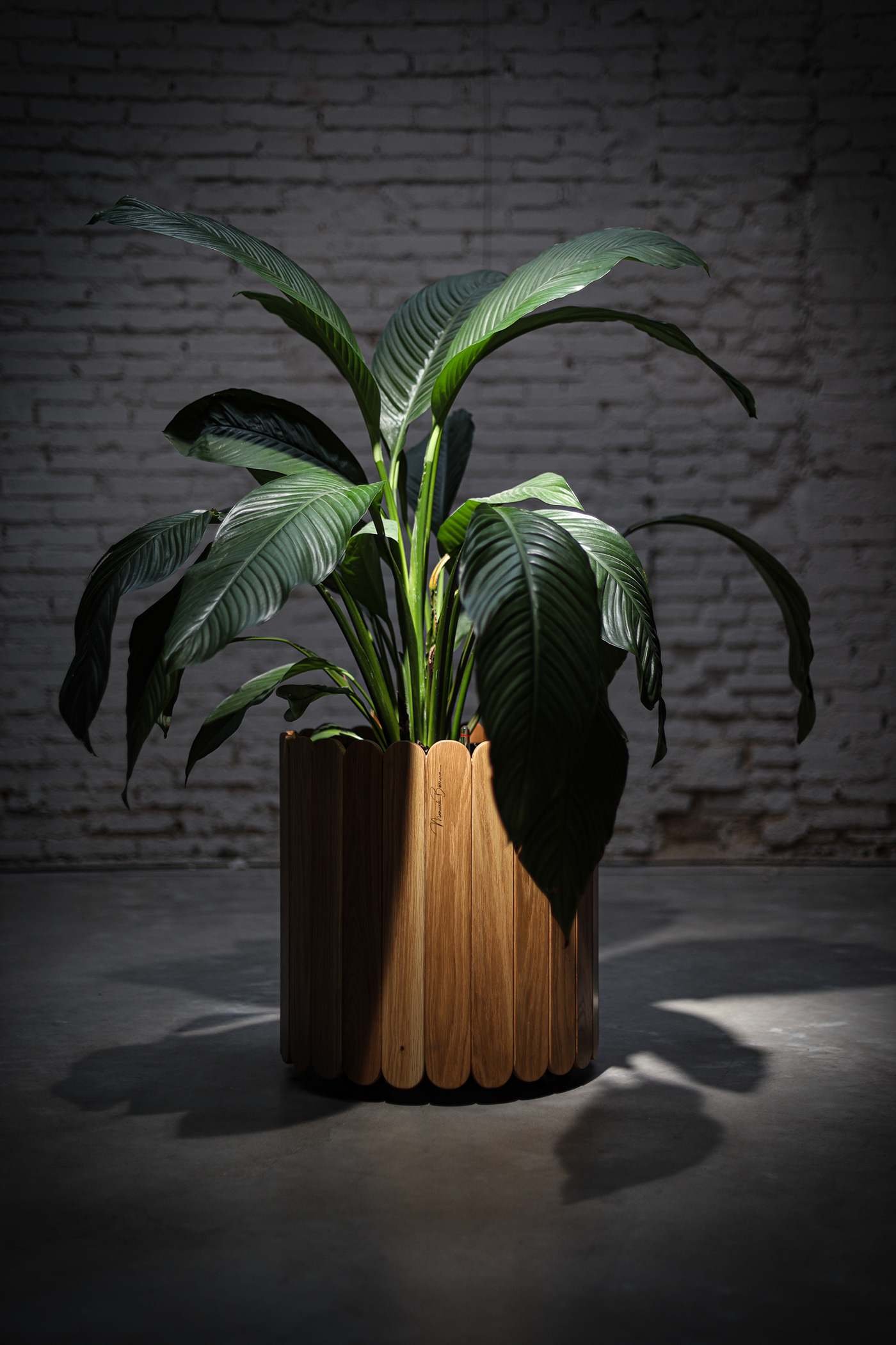 Flowerpot，wooden ，furniture，product design，