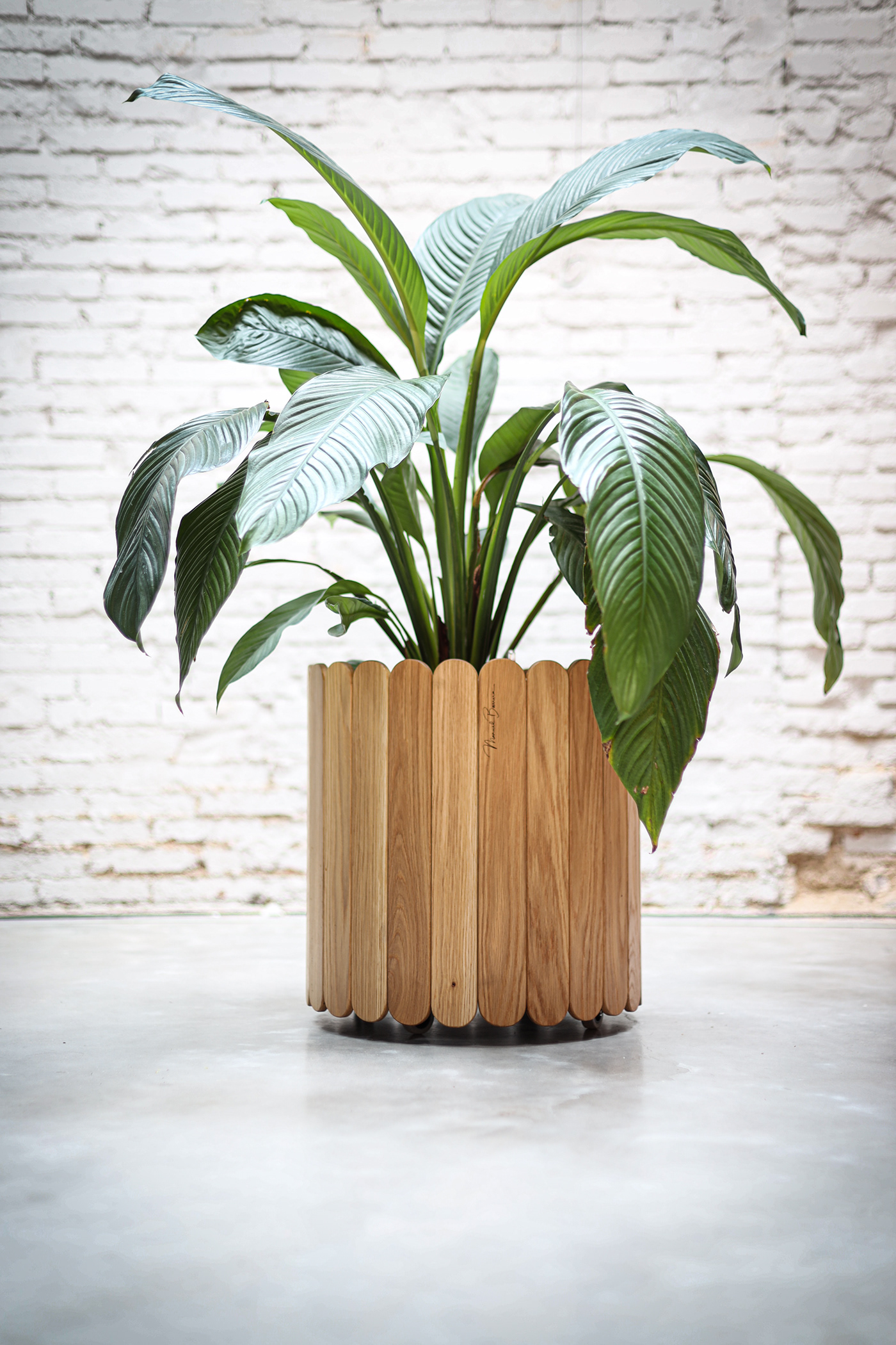 Flowerpot，wooden ，furniture，product design，