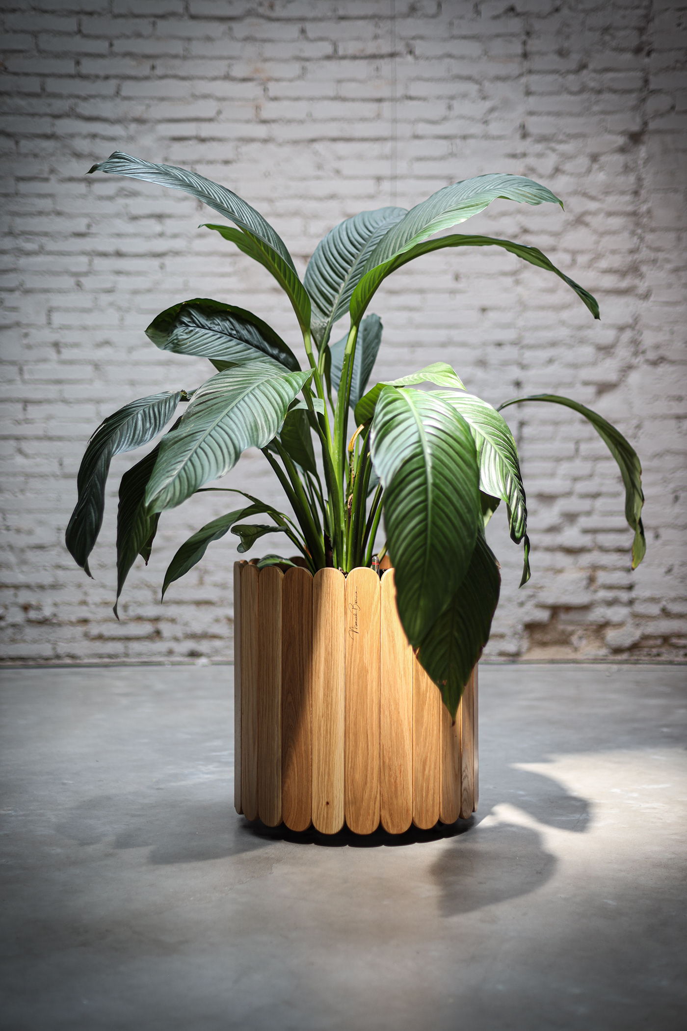 Flowerpot，wooden ，furniture，product design，