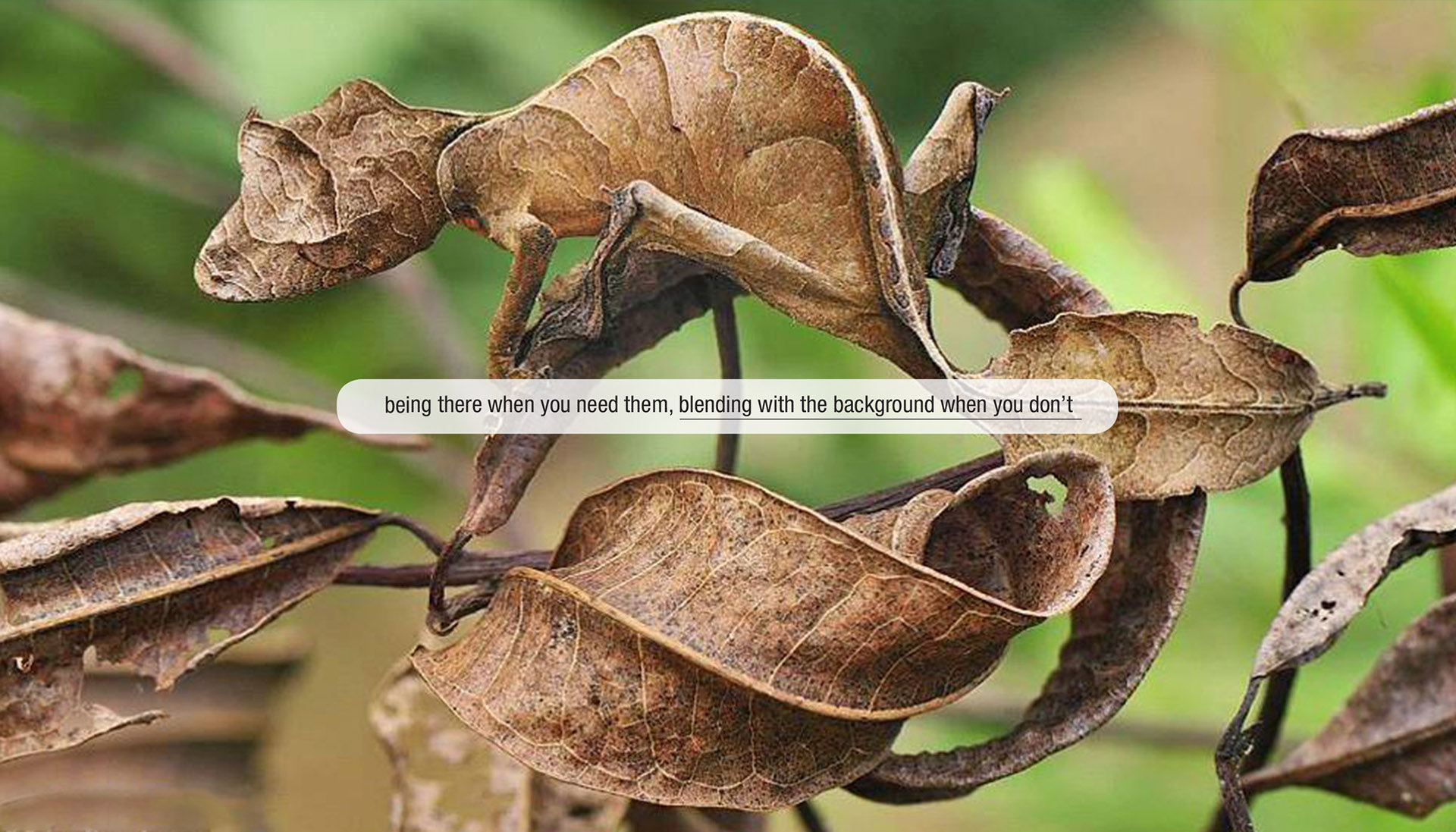 OLED，lamp，lamps and lanterns，Lamp design，furniture，led，