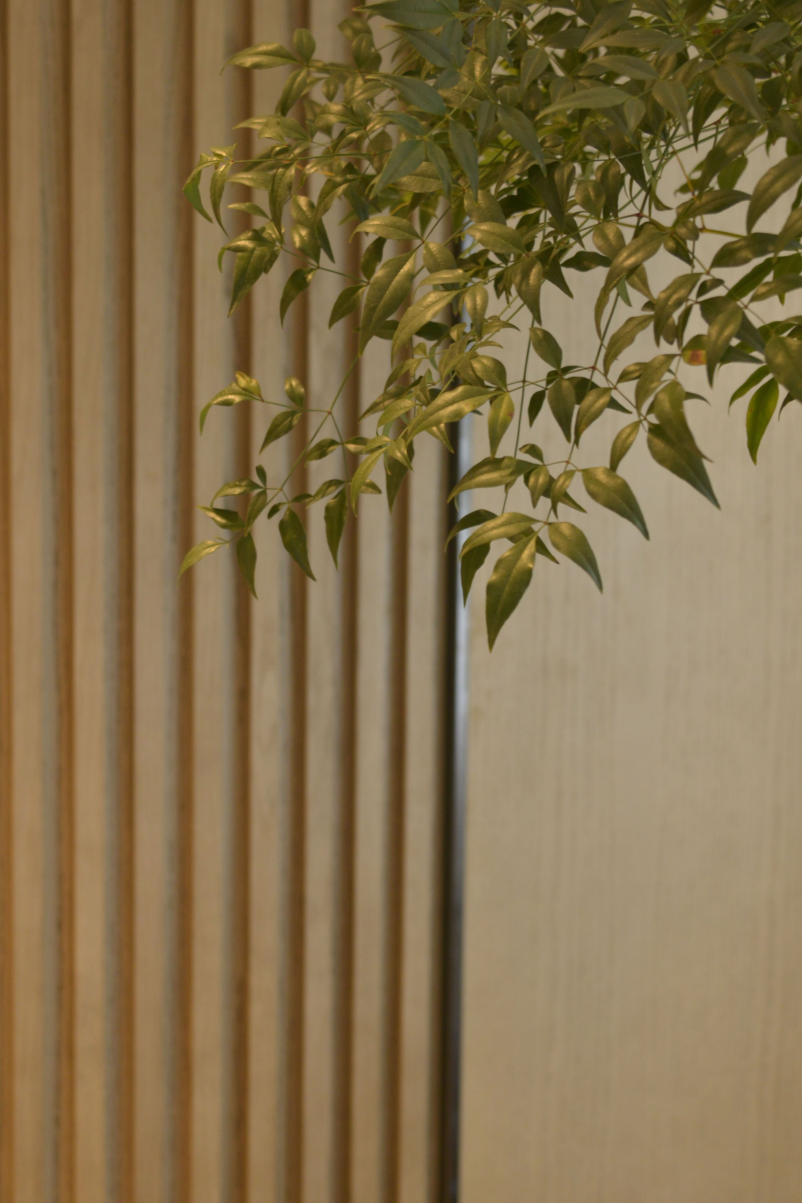 Modern; Plain and elegant; Living room; Dining room; Kitchen; Tea making area，