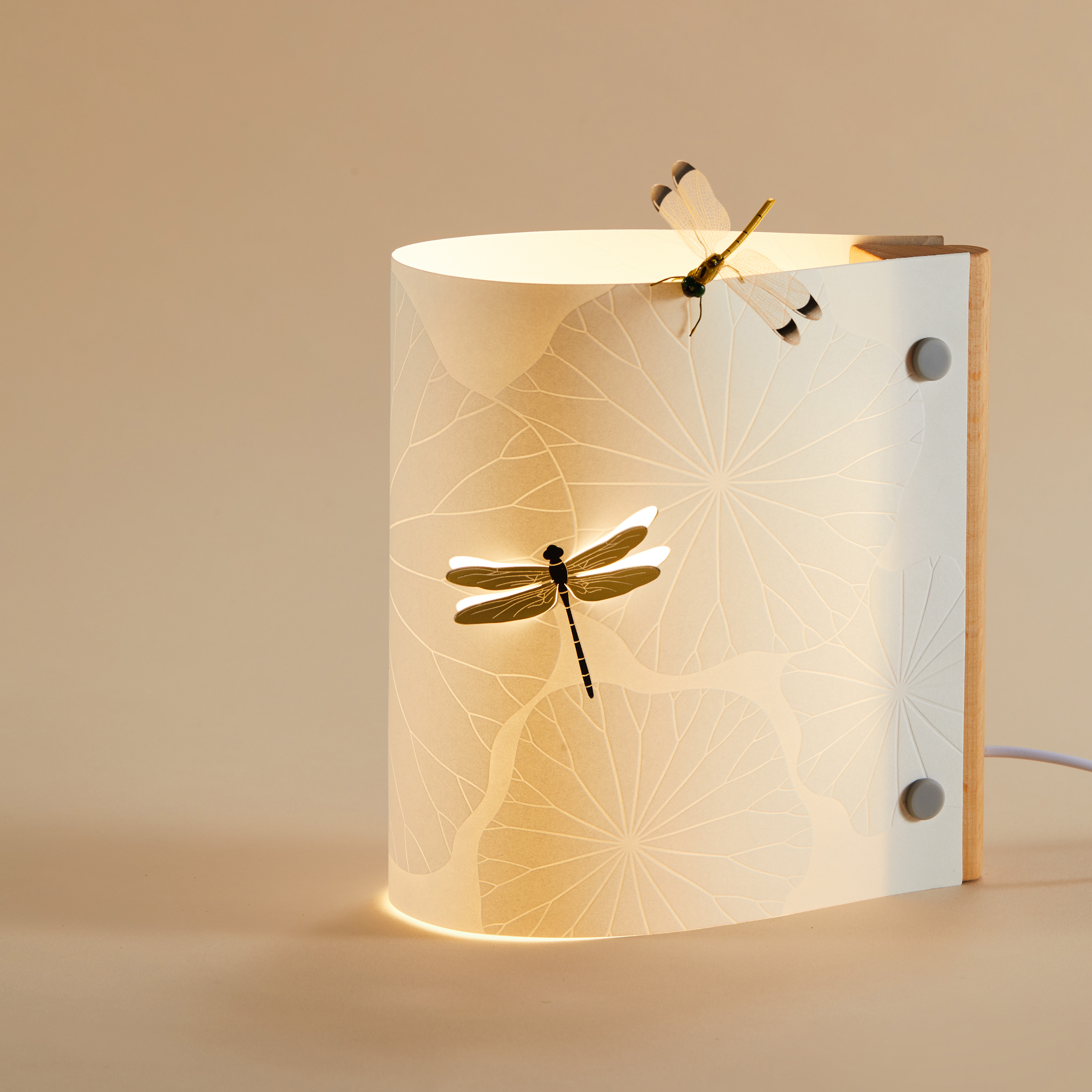 Paper lamp，Night light，