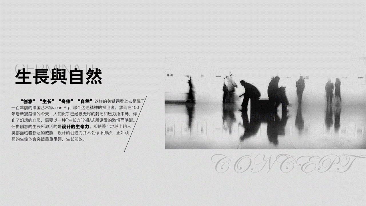 furniture，chair，curve，