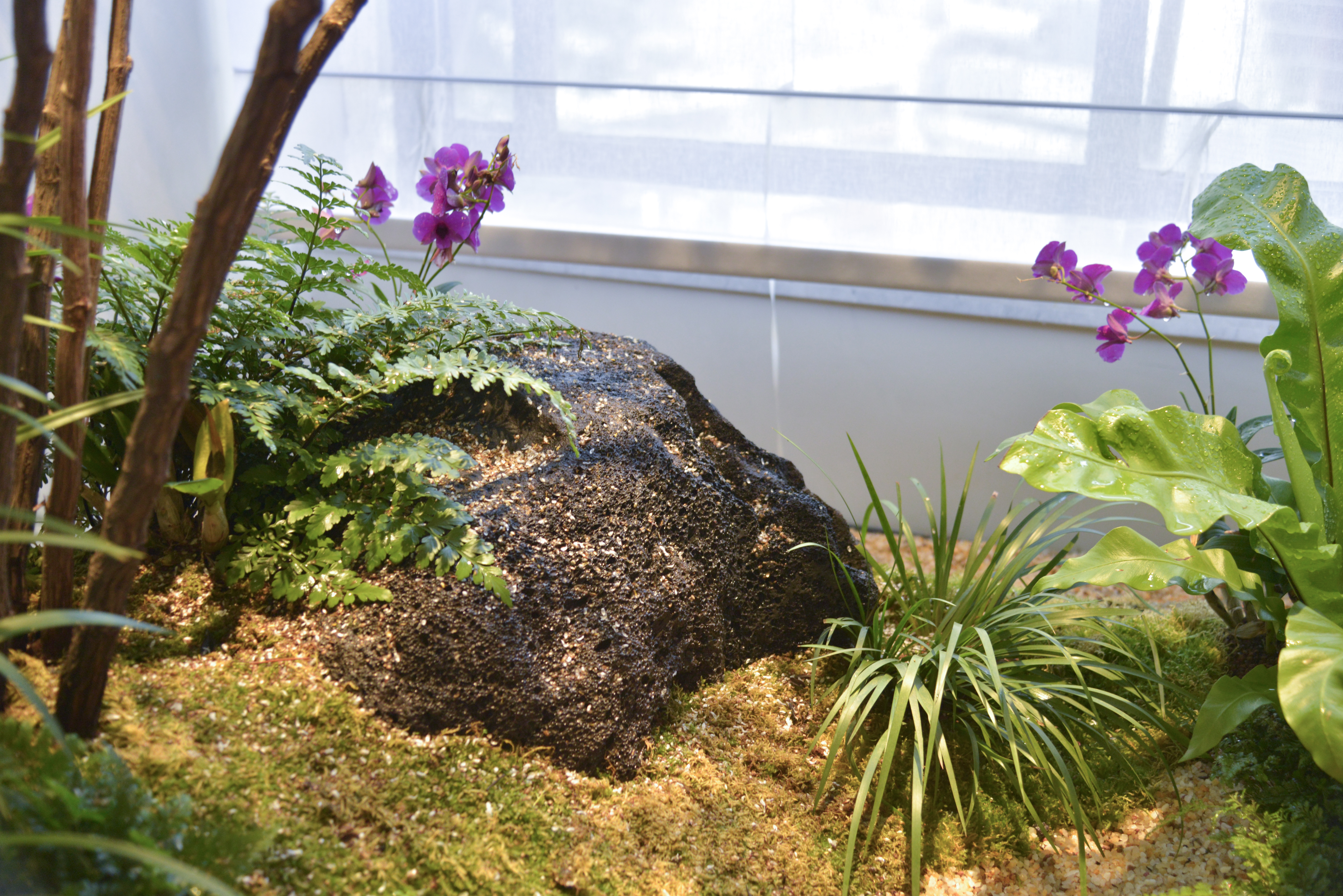 Modern; Living room, dining room; Landscape;，