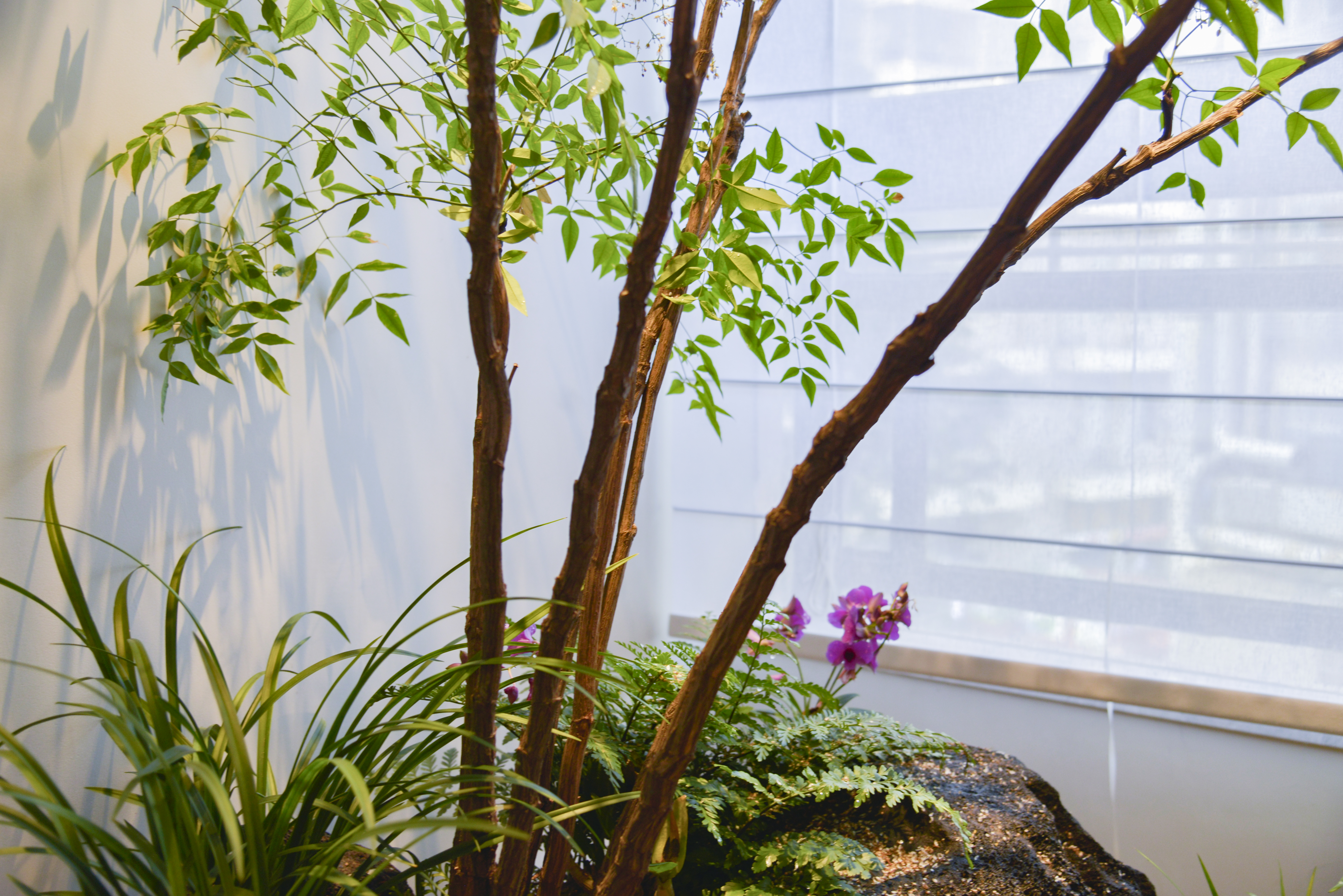 Modern; Living room, dining room; Landscape;，