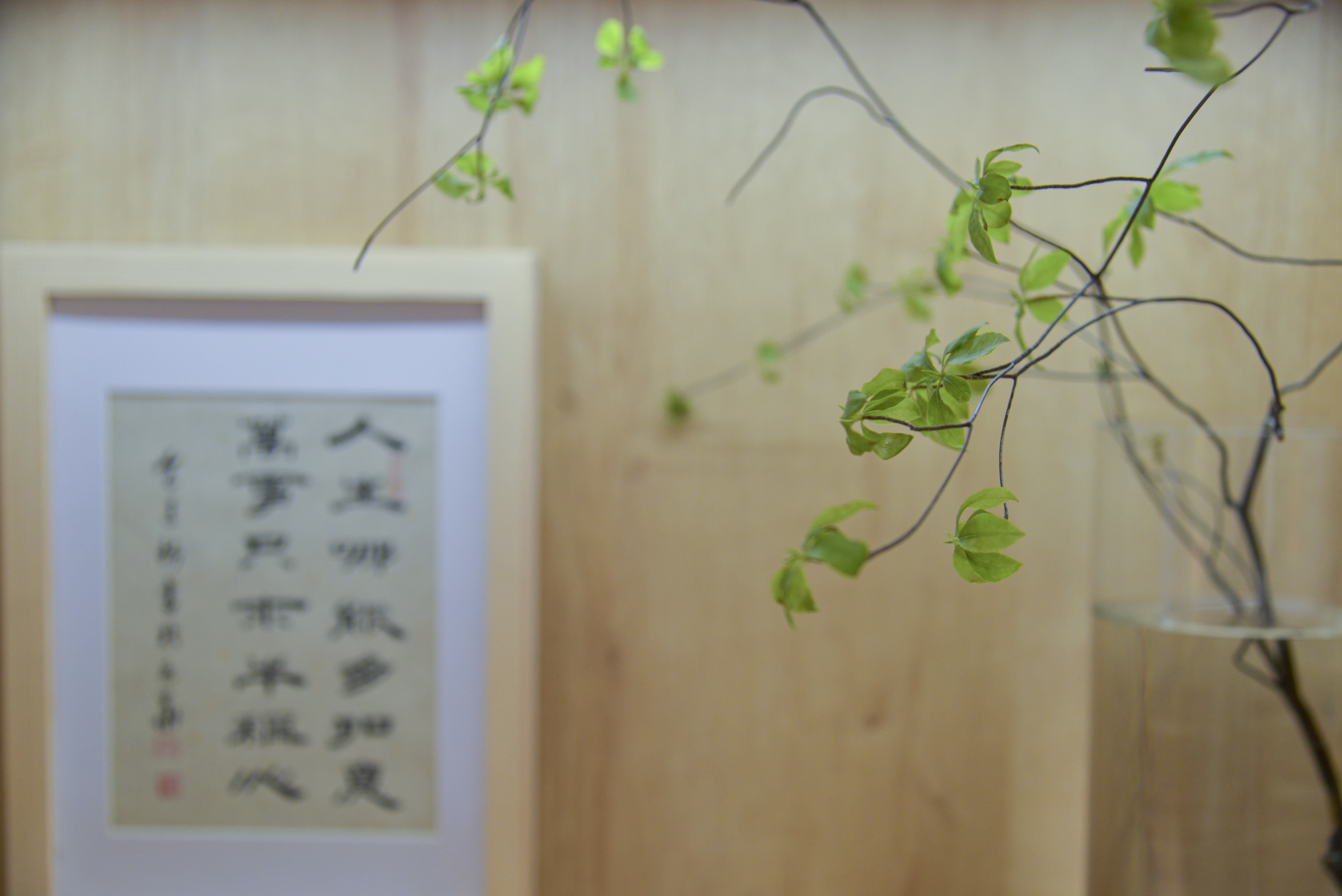 Modern; Living room, dining room; Landscape;，