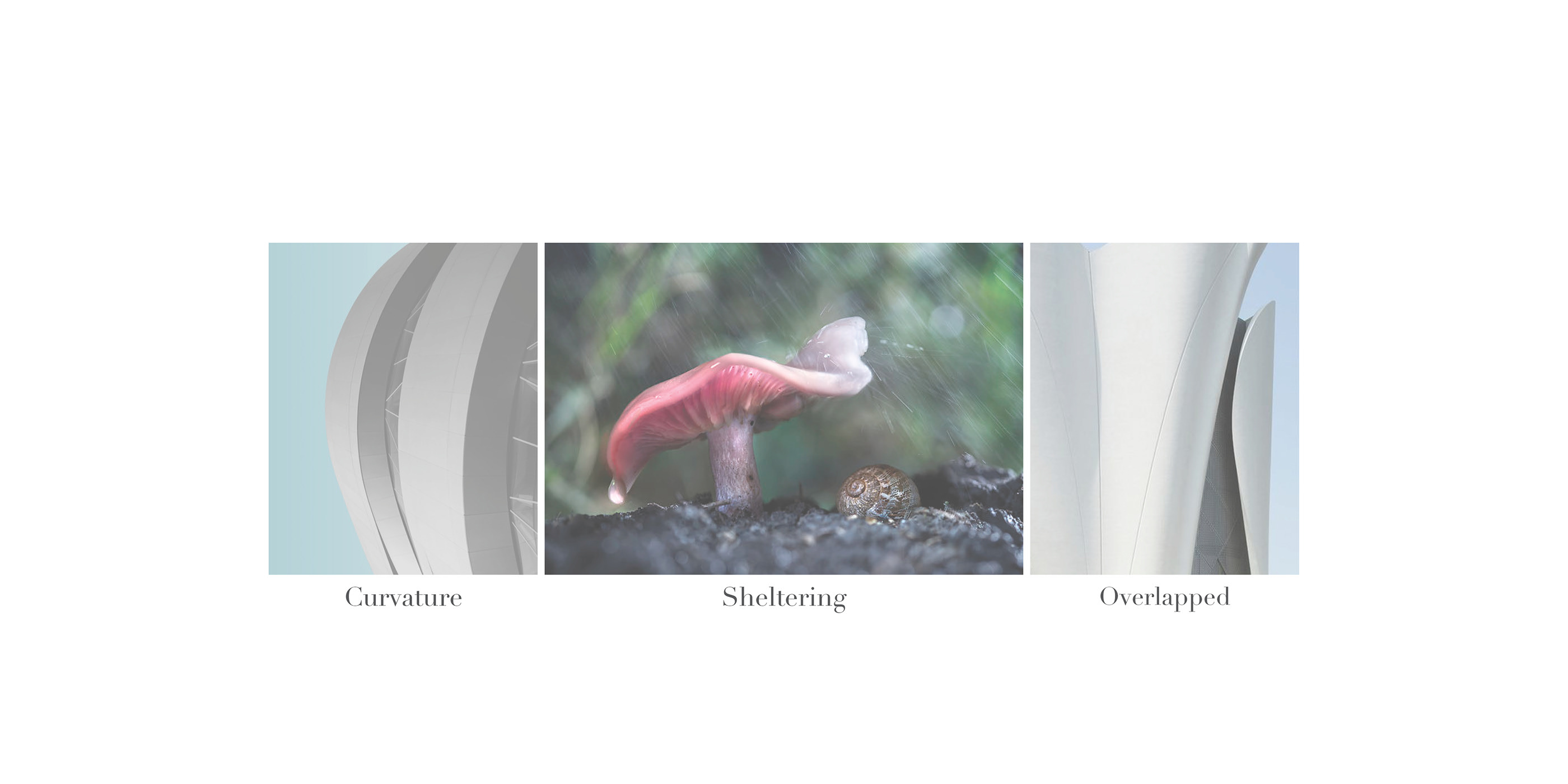 Tractor，transport，Design，conceptual design，Tractor Cabinet，