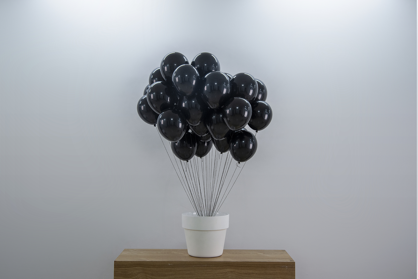 balloon，life，cylinder，Art，bionics，Now finished product，modelling，