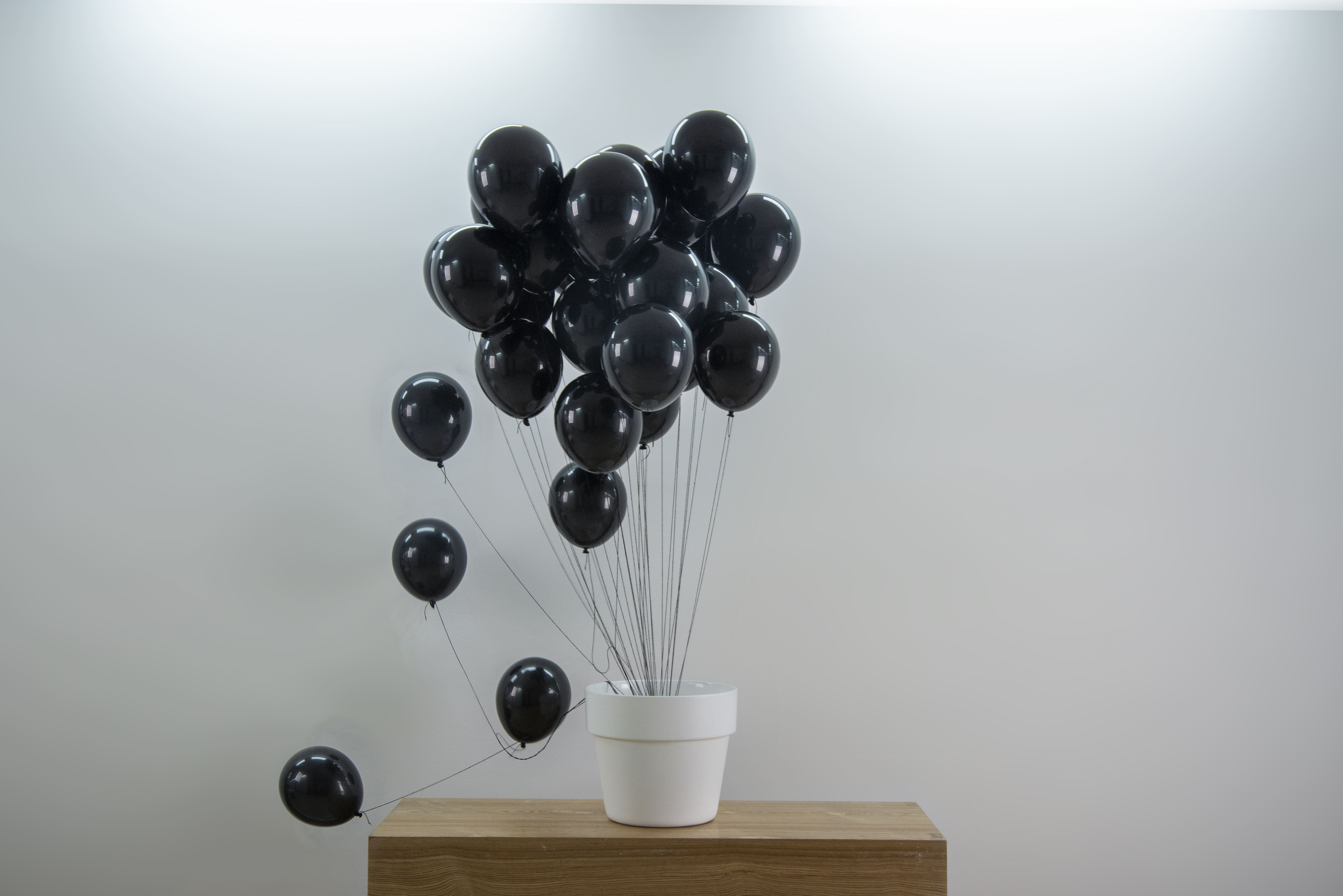 balloon，life，cylinder，Art，bionics，Now finished product，modelling，