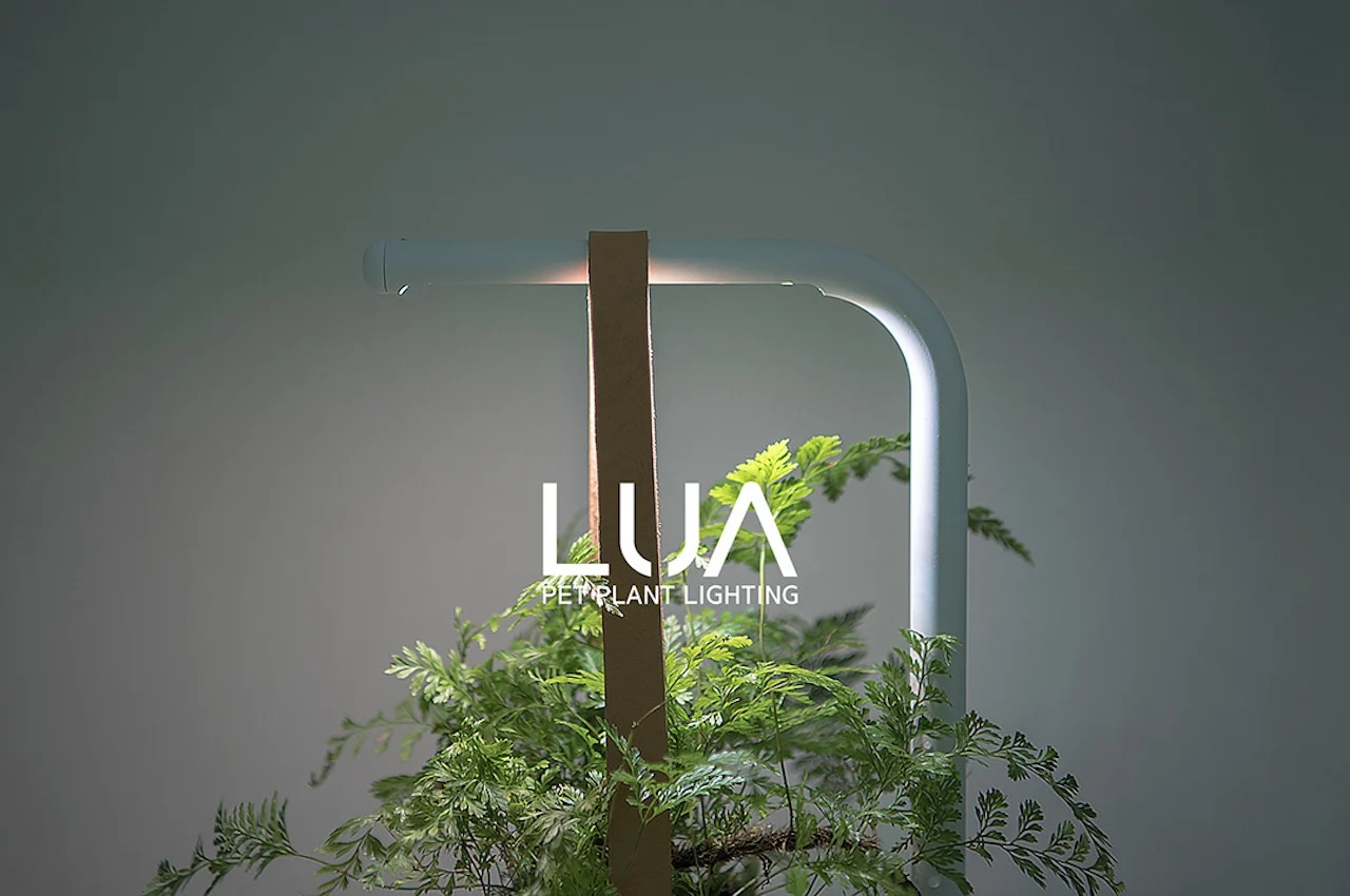 Plant lighting，lamp，Botany，lighting，industrial design，design，