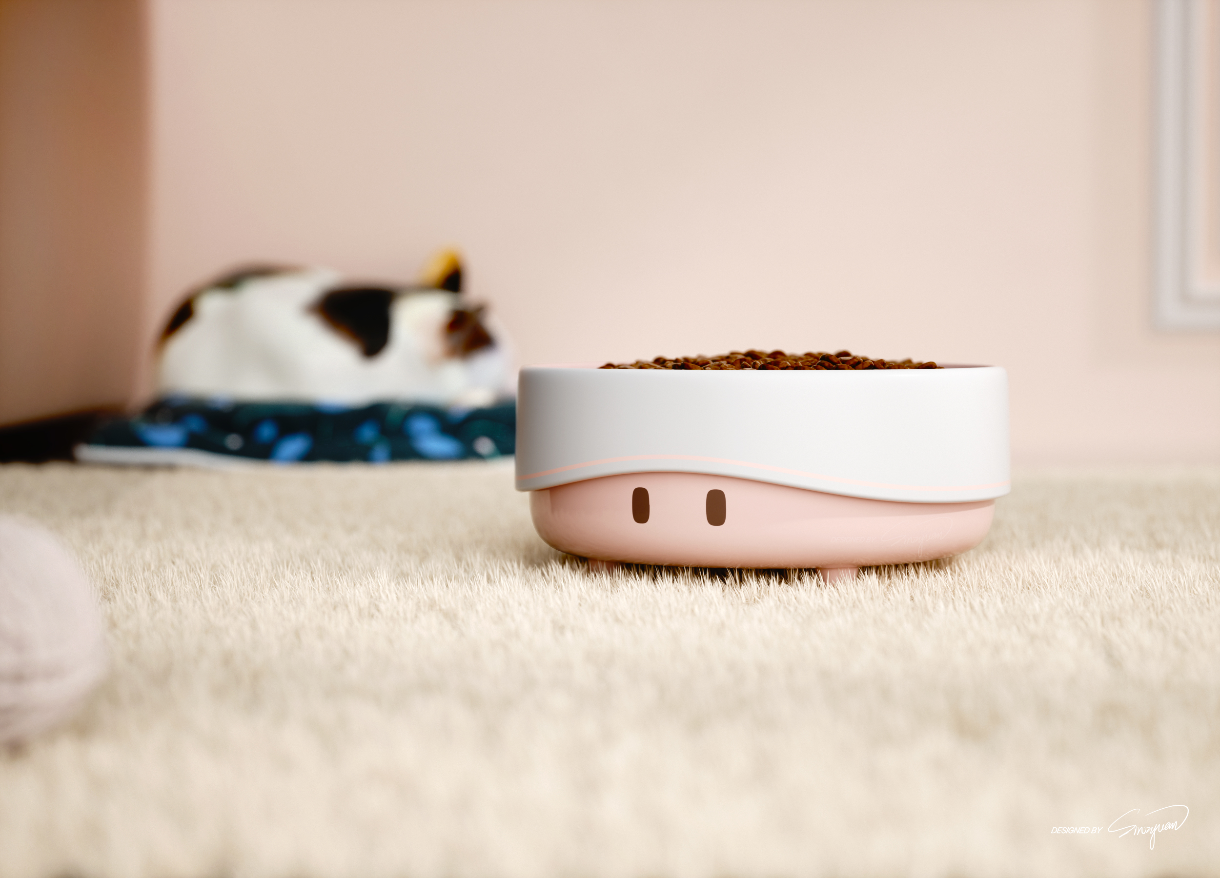 Cat food，Dog food，container，Utensils，lovely，