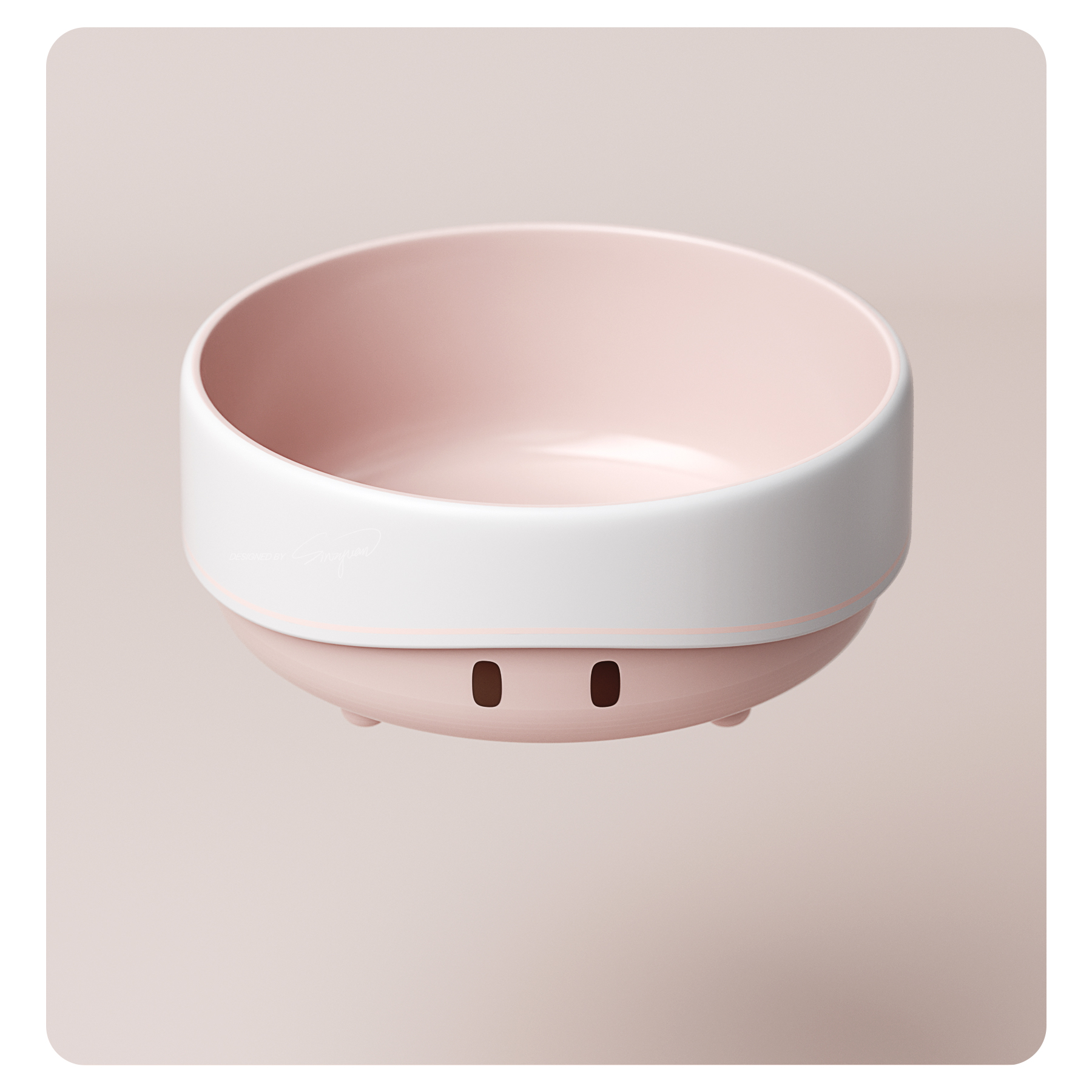 Cat food，Dog food，container，Utensils，lovely，