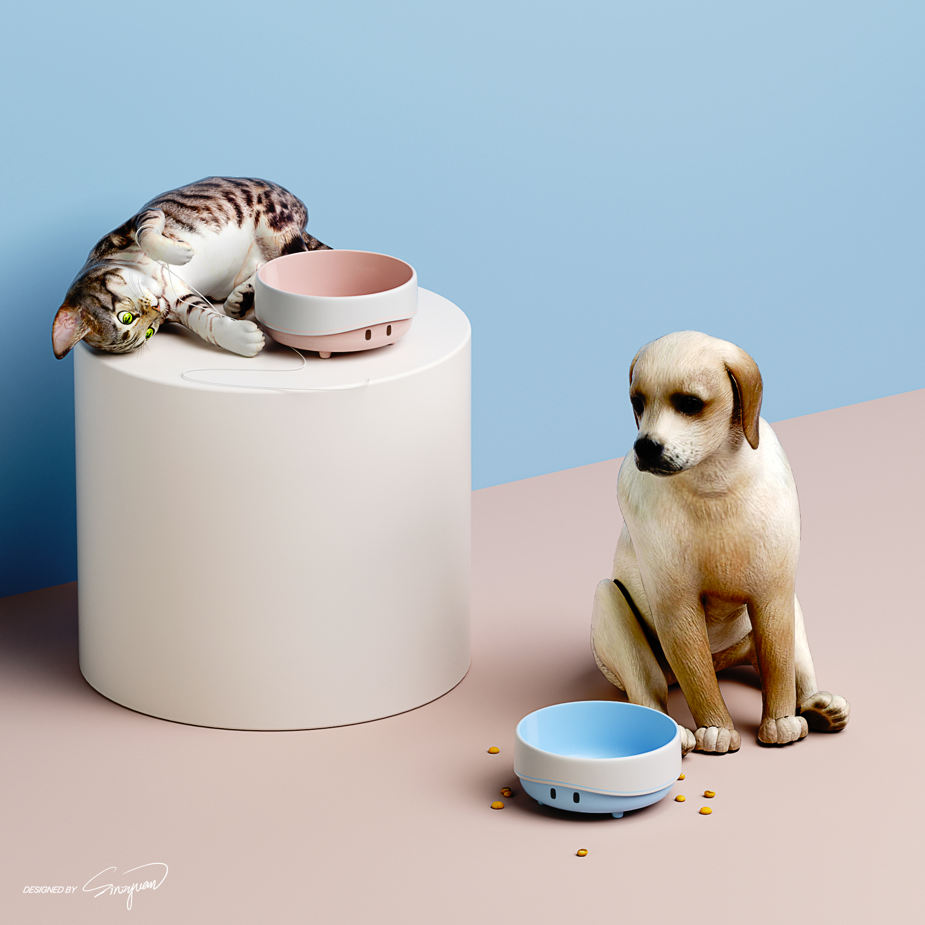 Cat food，Dog food，container，Utensils，lovely，