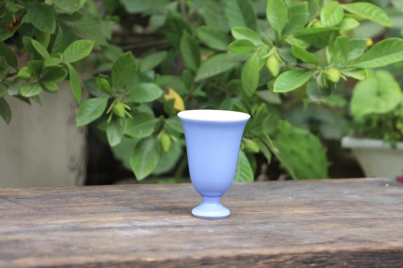 Jingdezhen Ceramic Tea Cup，