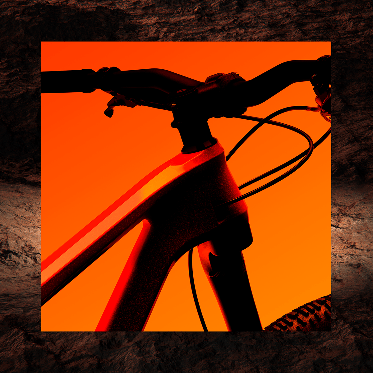 vehicle，Bicycle，Outdoor equipment，Cannondale Scalpel，