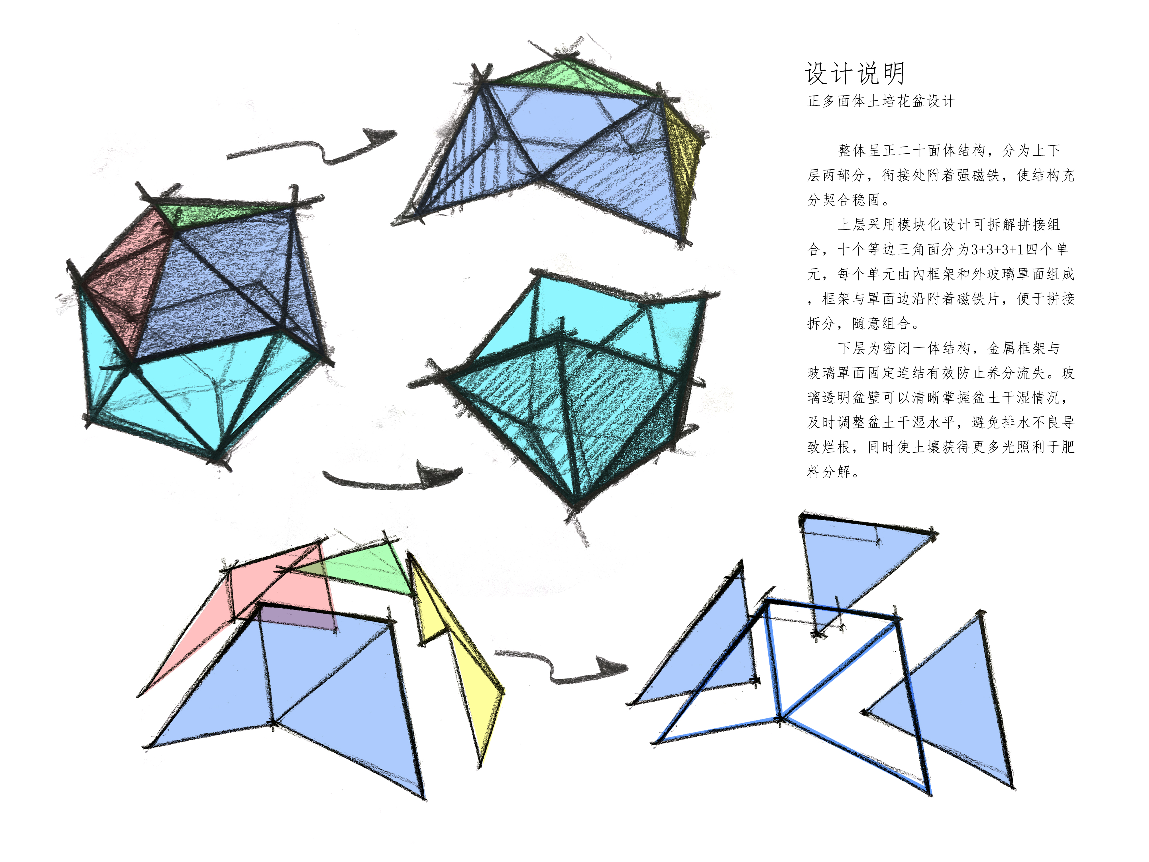 flower，Flowerpot，vase，Soil culture，Hydroponic culture，Potted plants，Green plant，Flower basin，