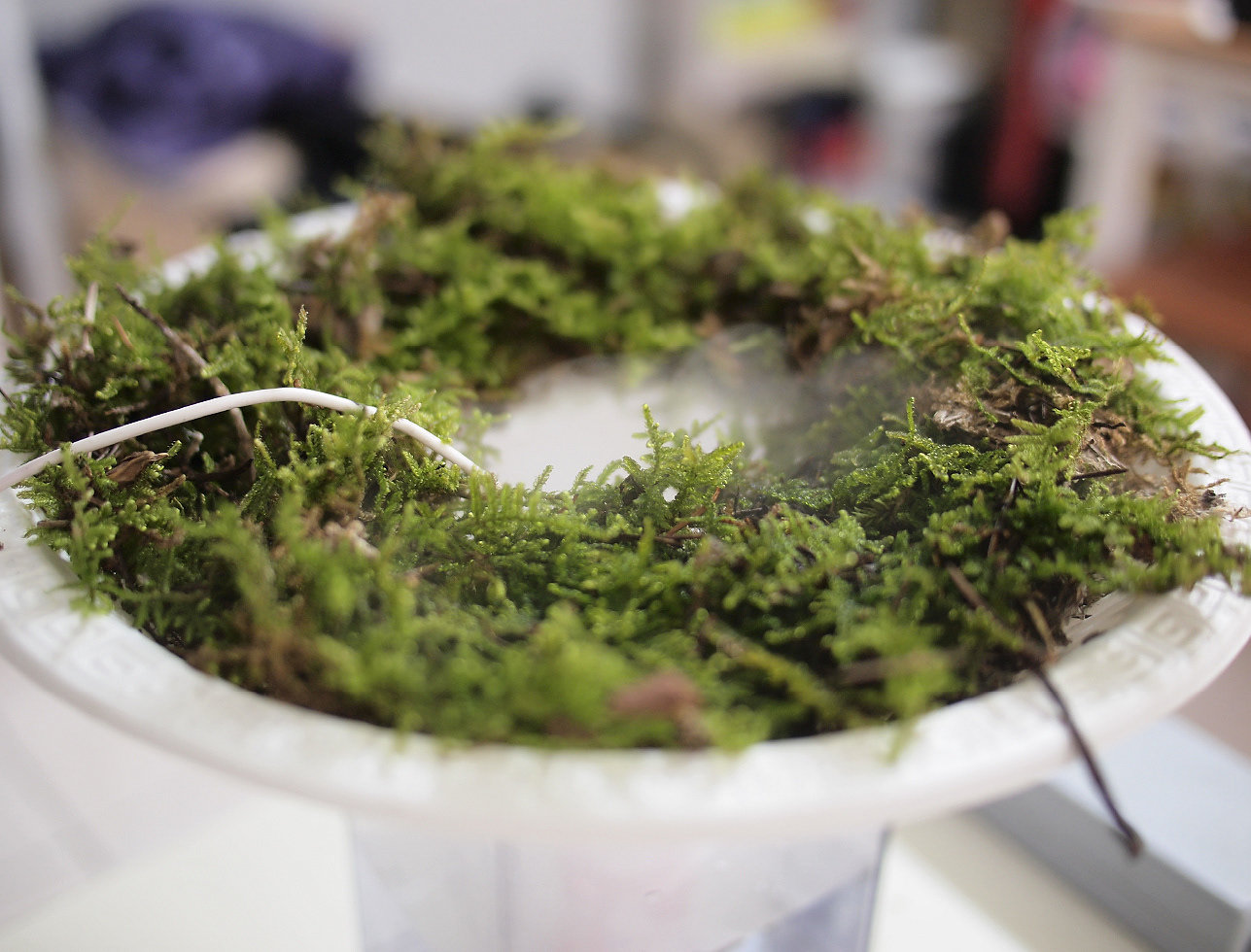 Humidifier，moss，Electric，