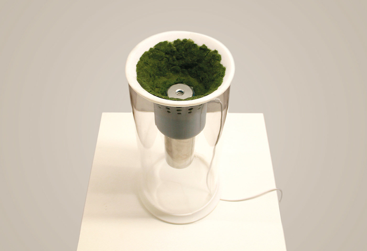 Humidifier，moss，Electric，