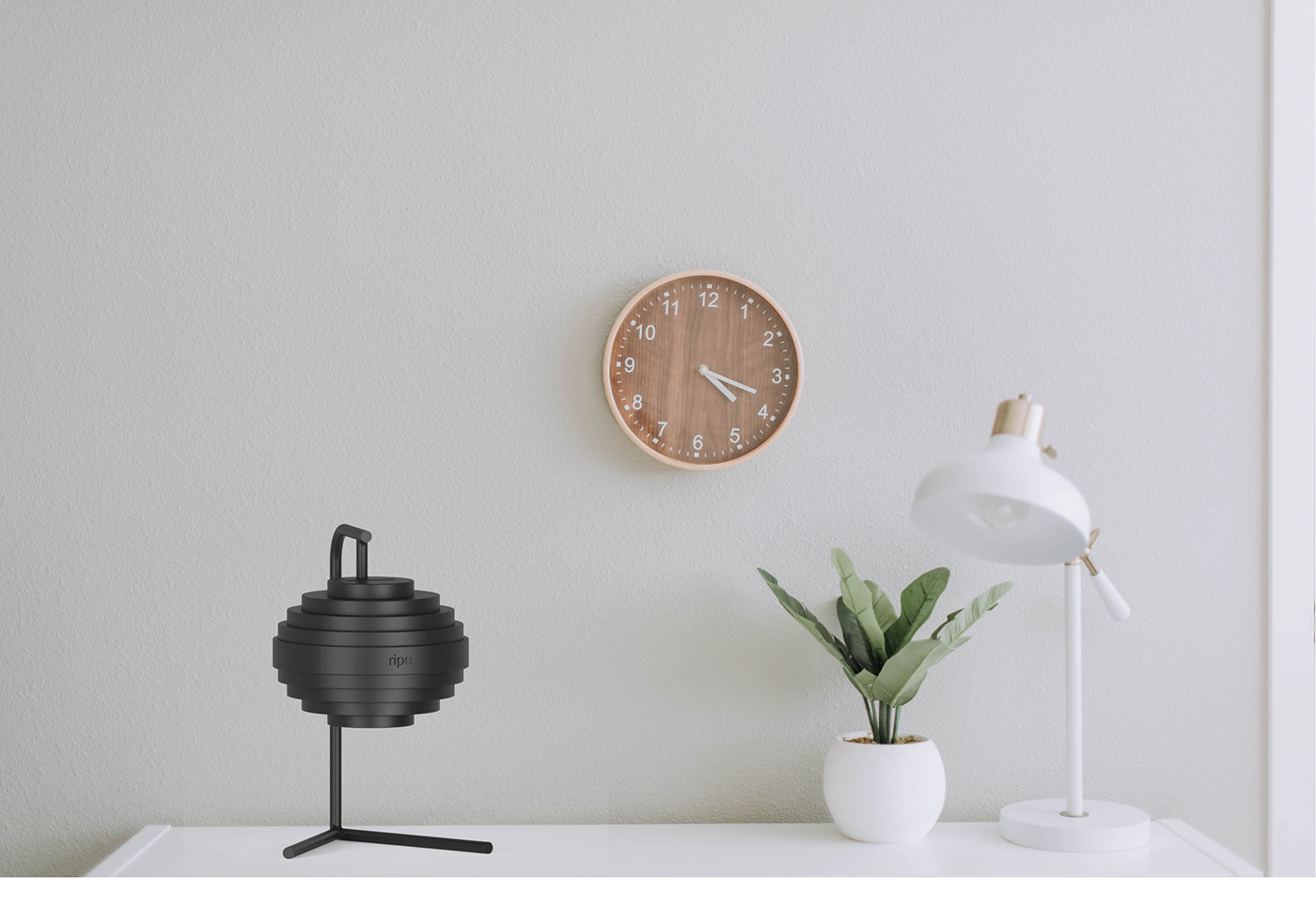 Storage Tank，Coin，Interesting，