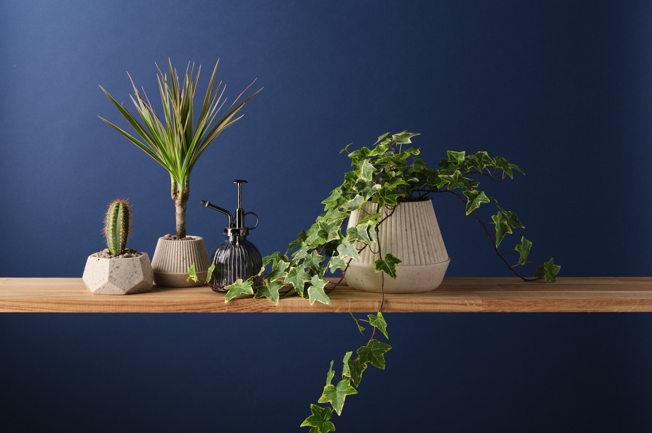 Housewear & Furnishings，Housewear & Furnishings，vase，vase，environment protection，environment protection，Coffee grounds，Coffee grounds，