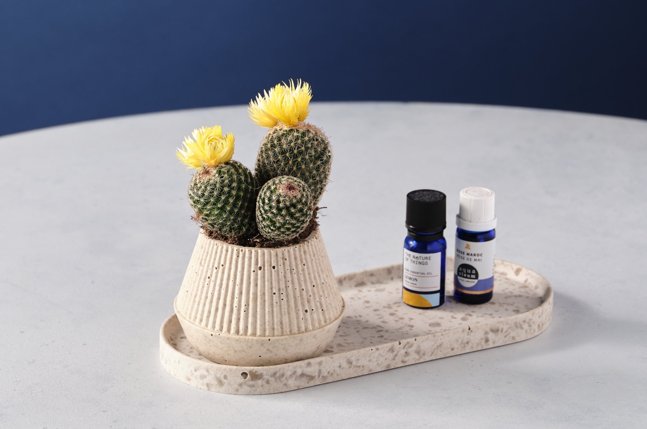 Housewear & Furnishings，Housewear & Furnishings，vase，vase，environment protection，environment protection，Coffee grounds，Coffee grounds，