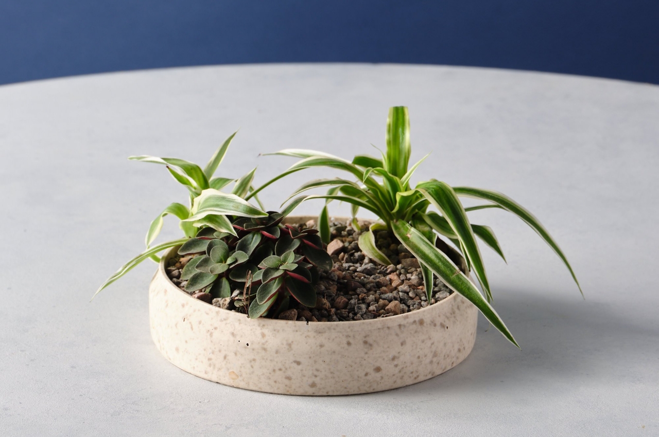 Housewear & Furnishings，Housewear & Furnishings，vase，vase，environment protection，environment protection，Coffee grounds，Coffee grounds，