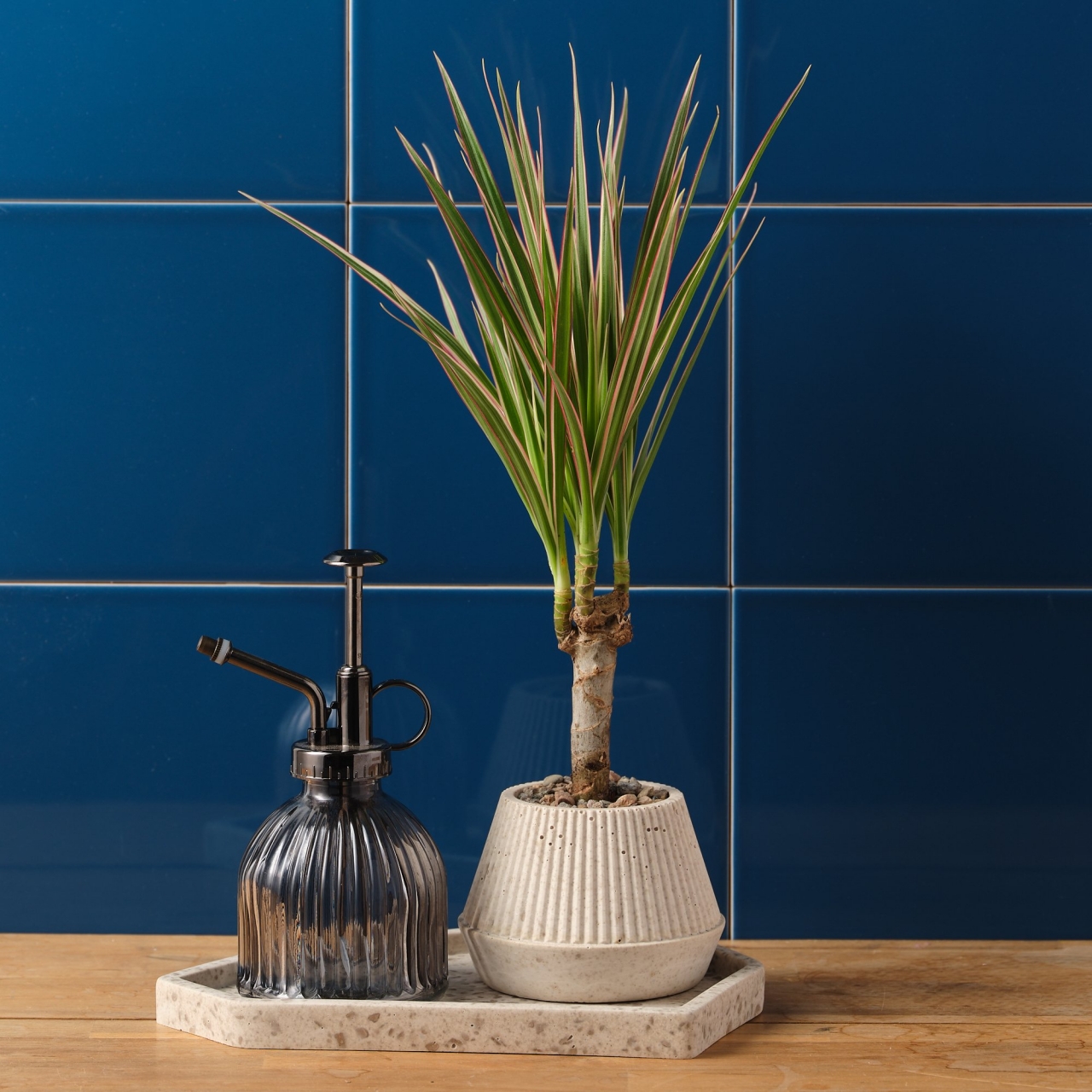 Housewear & Furnishings，Housewear & Furnishings，vase，vase，environment protection，environment protection，Coffee grounds，Coffee grounds，